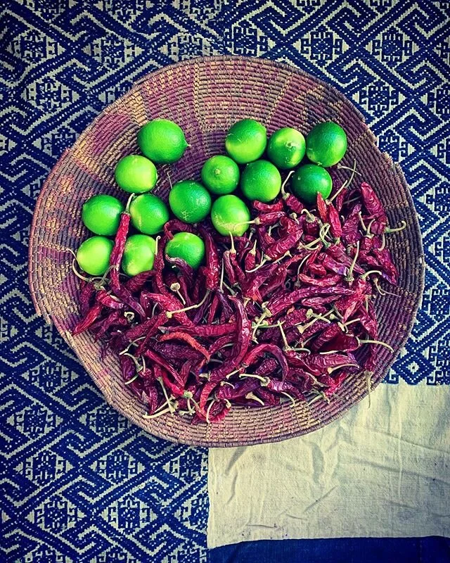 Thank you so much @tony_vitelli for the beautiful produce... made my day ❤️ #spicemama #chillies #fresh #homegrown #perthfood