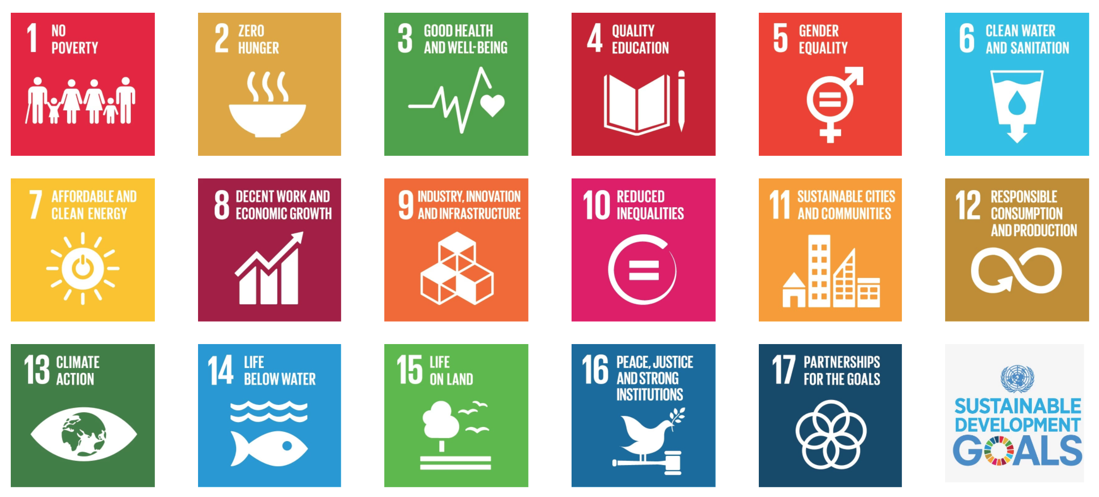 Sustainable Development Goals by the UN