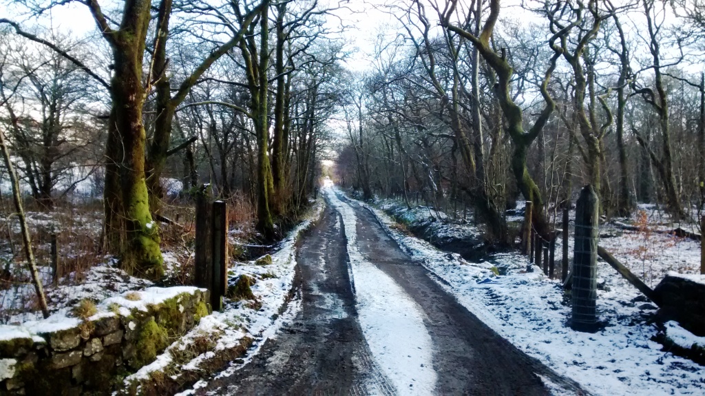 private track up to cottage and farm.jpg
