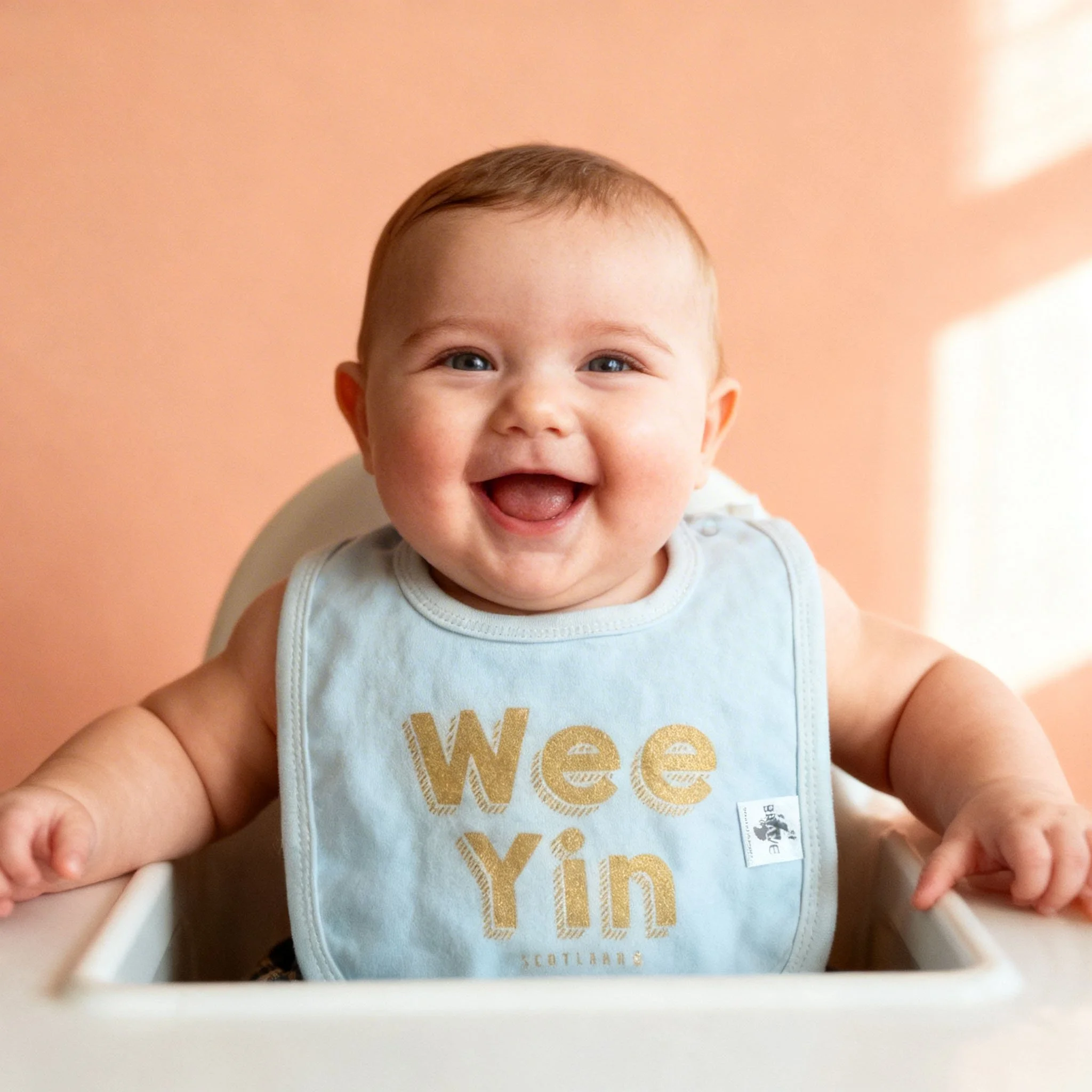wee-yin-scottish-baby-bib-brave-scottish-gifts-1.jpg