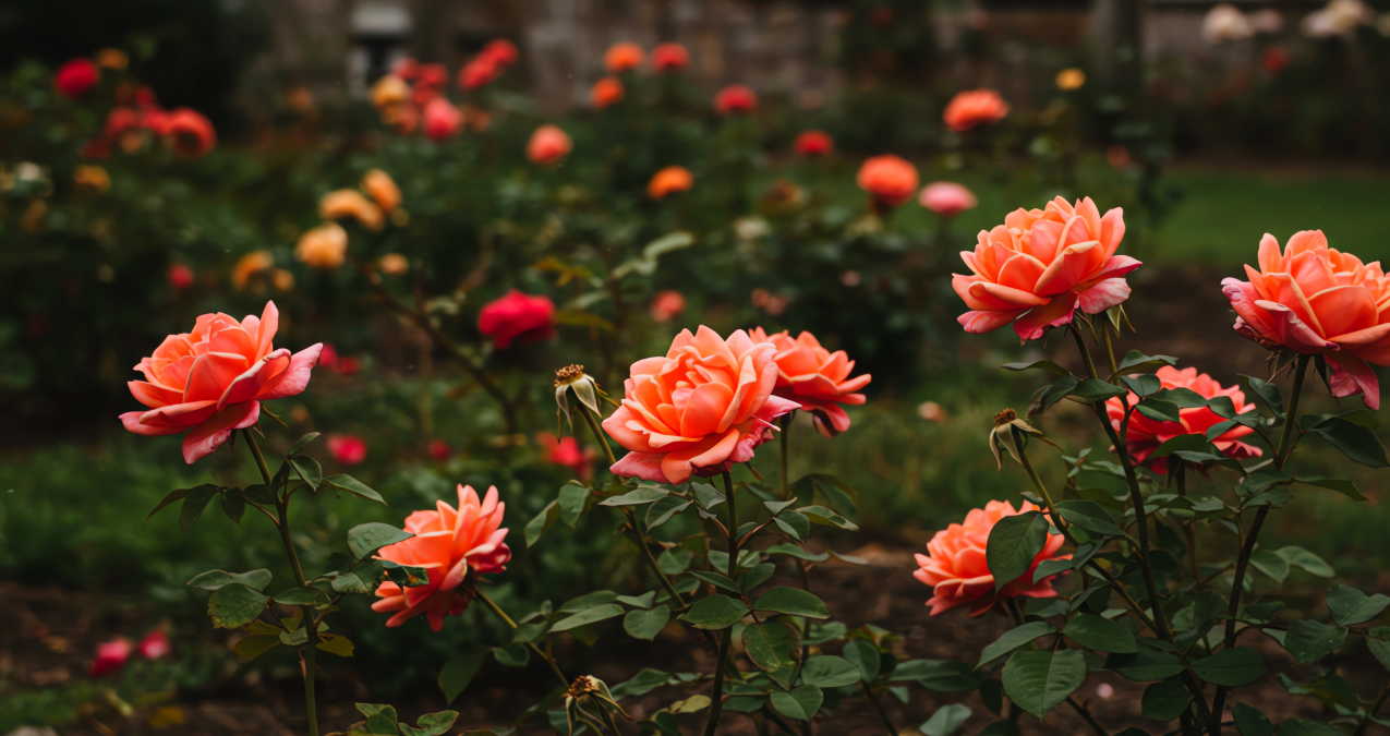 2026 Gala Invitation-2 (1).png