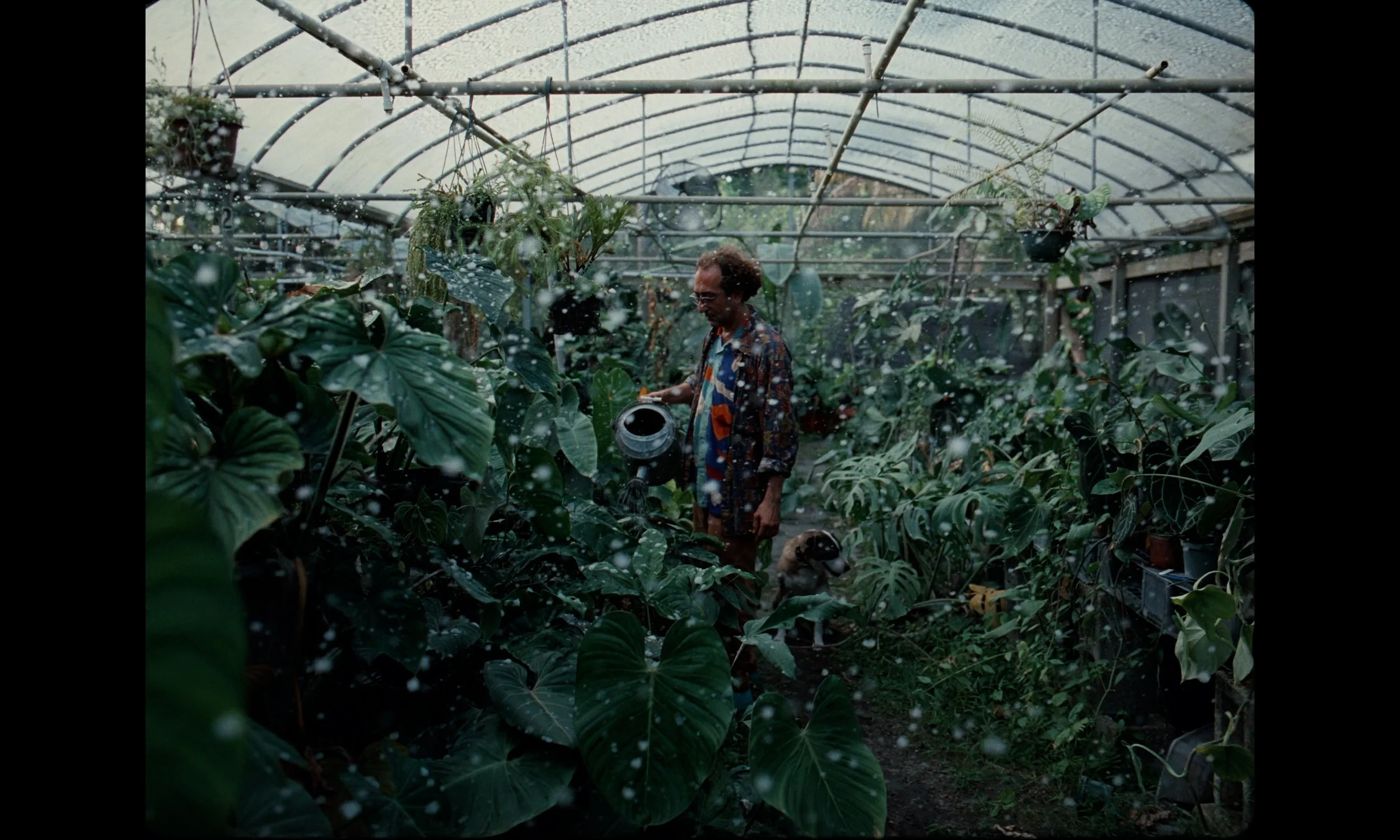 Tokisha - Perreo Llorando.00_02_29_22.Still195.jpg