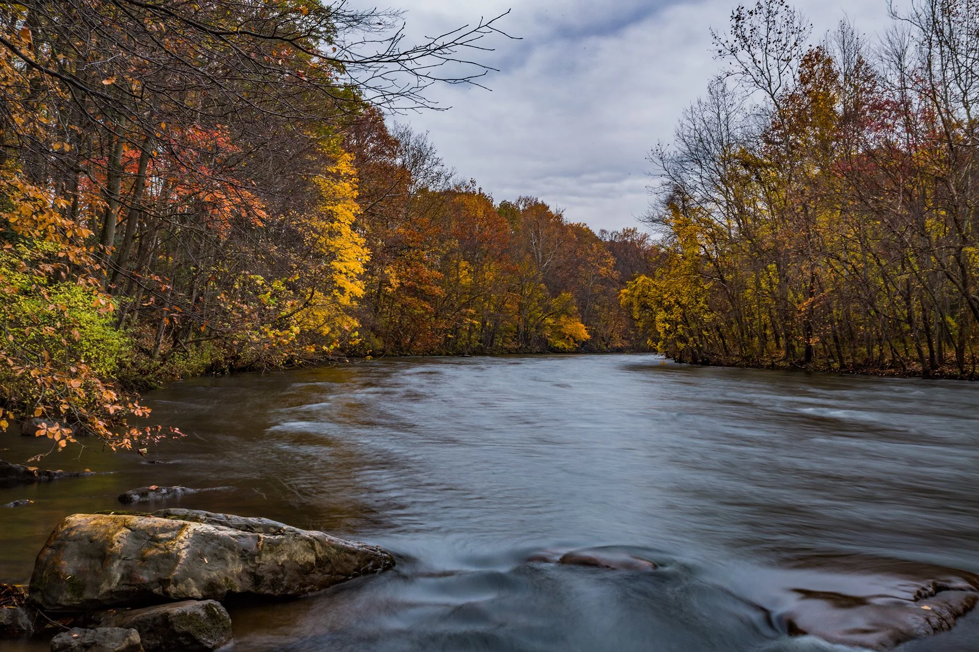 20151101 ND Fall 2.jpg