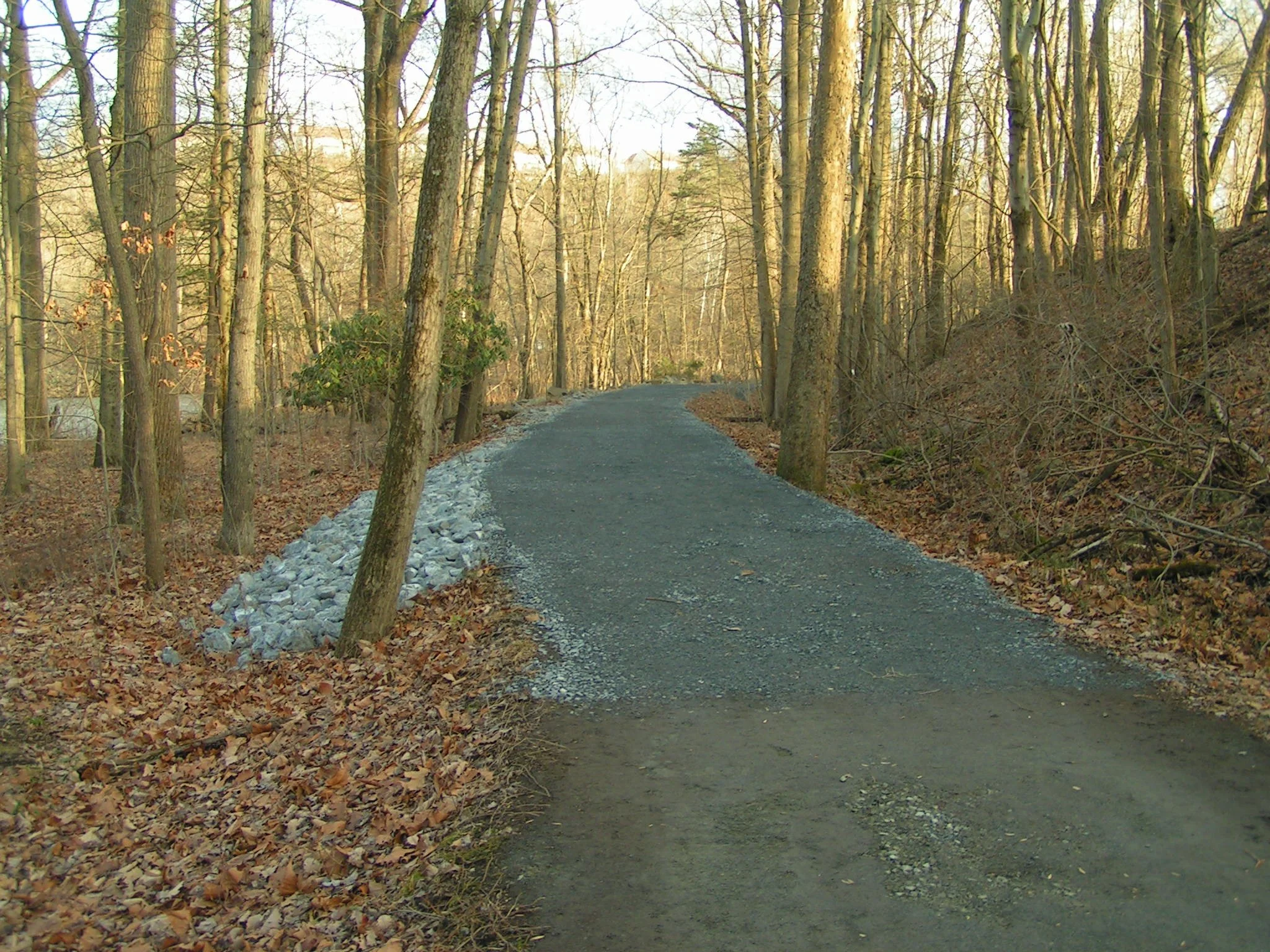 PICT0022.JPG