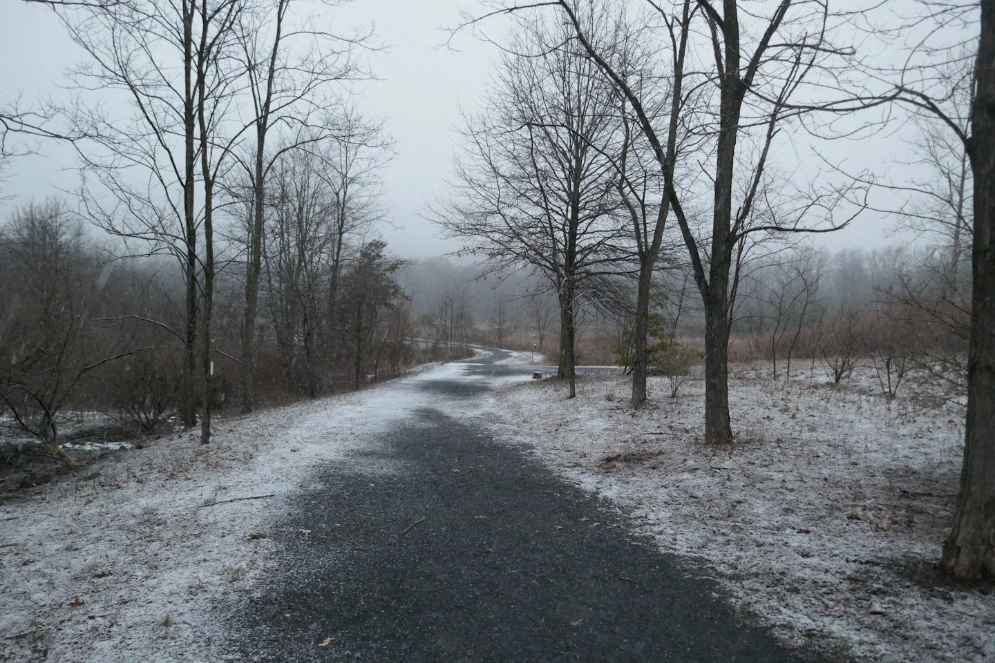 AP1020240.jpg