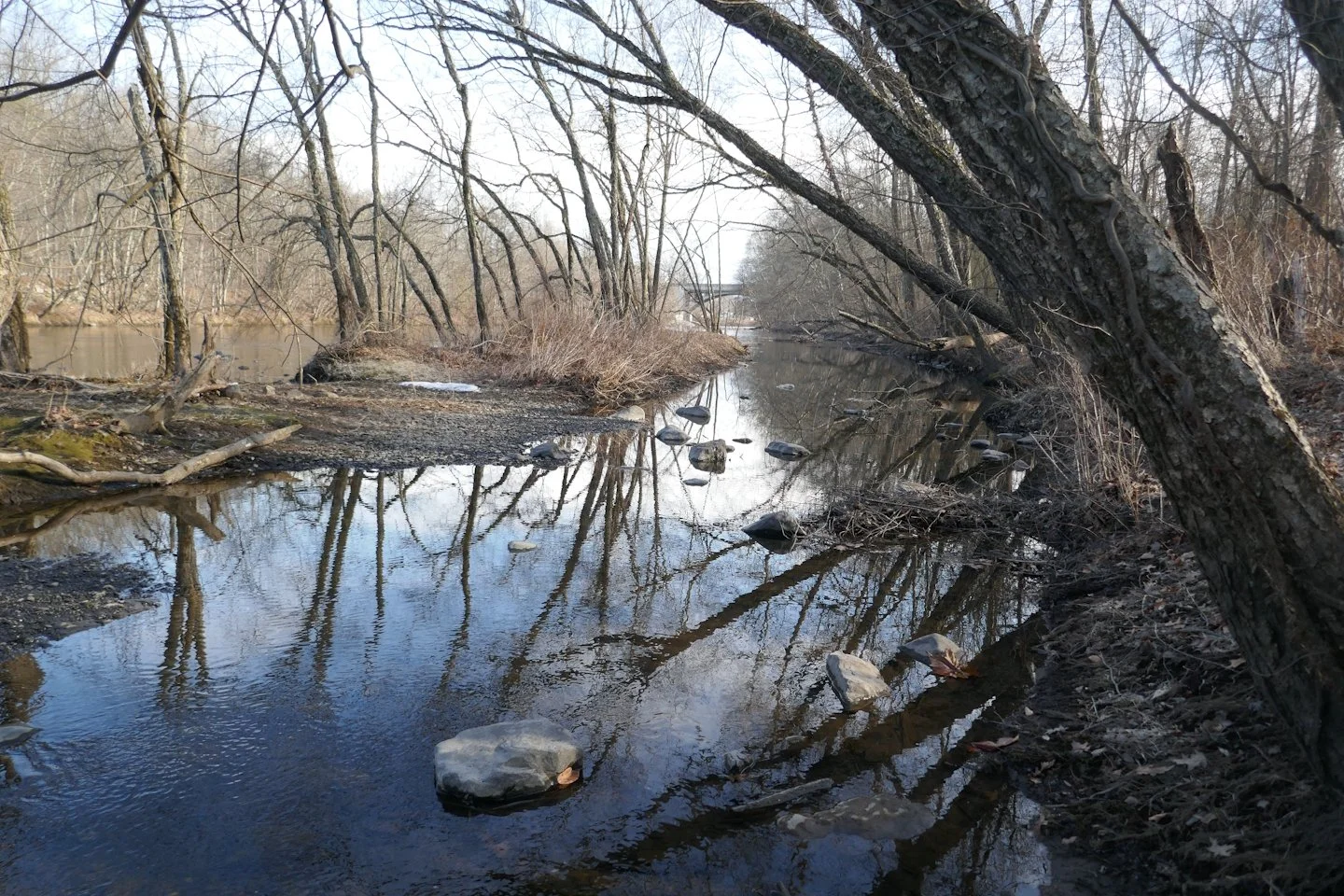 AP1020276.jpg