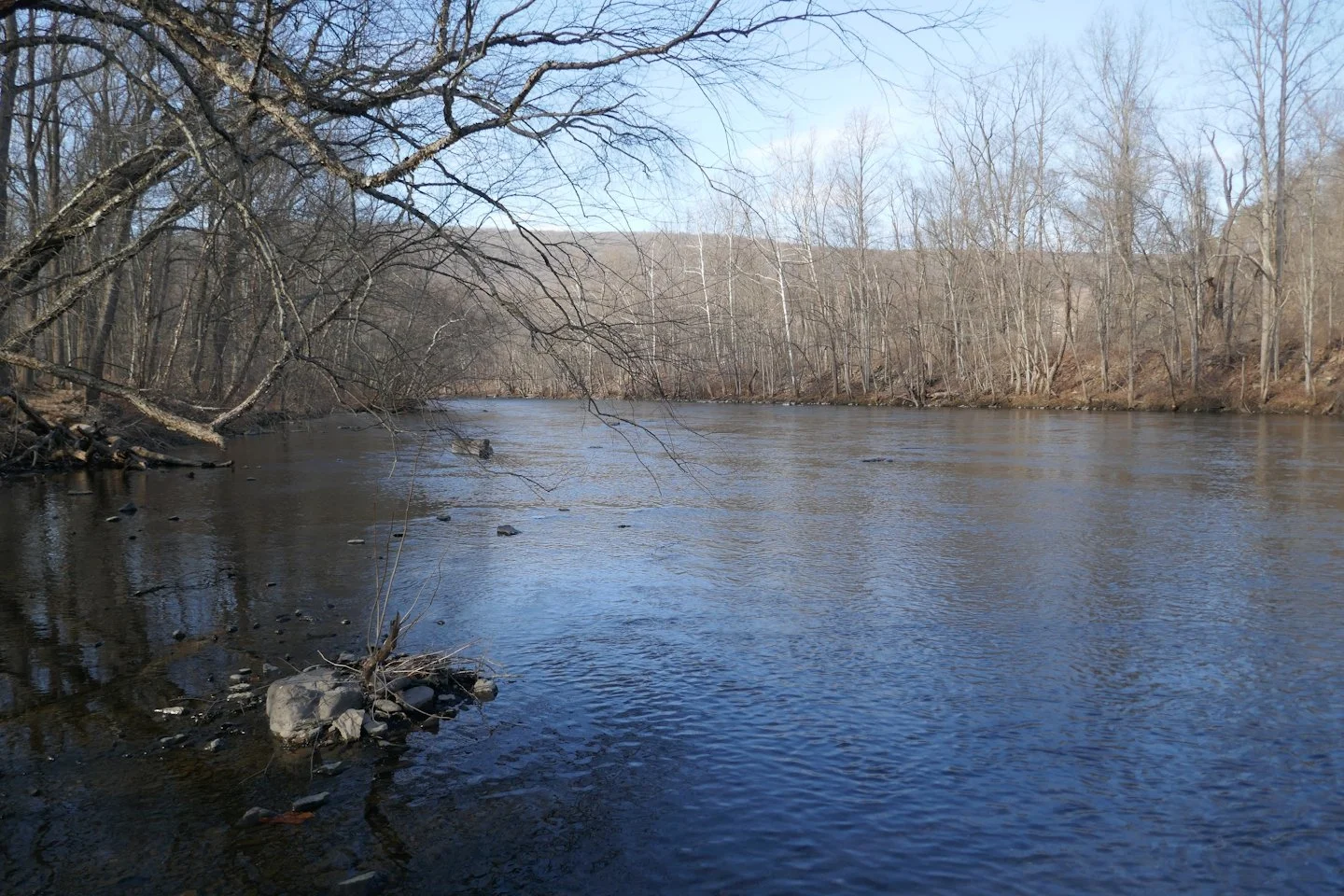 AP1020272.jpg