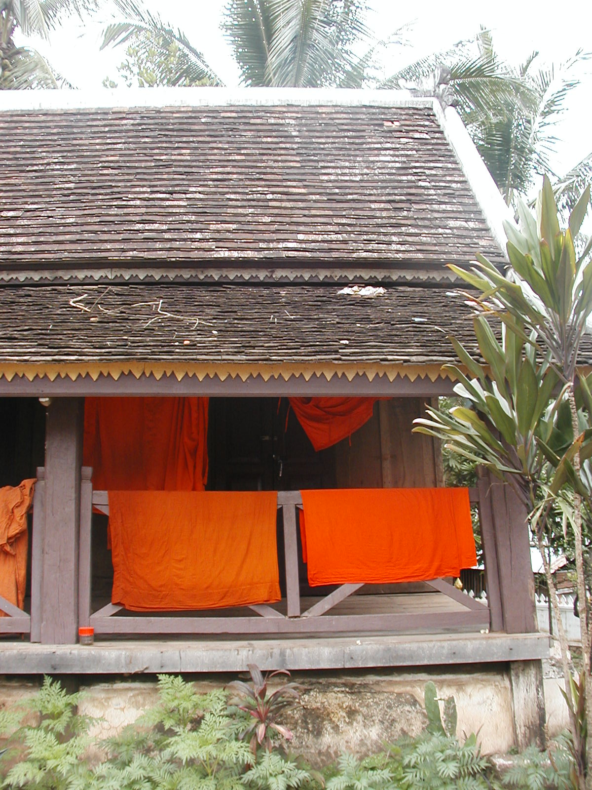 Copy of P6230049.JPG