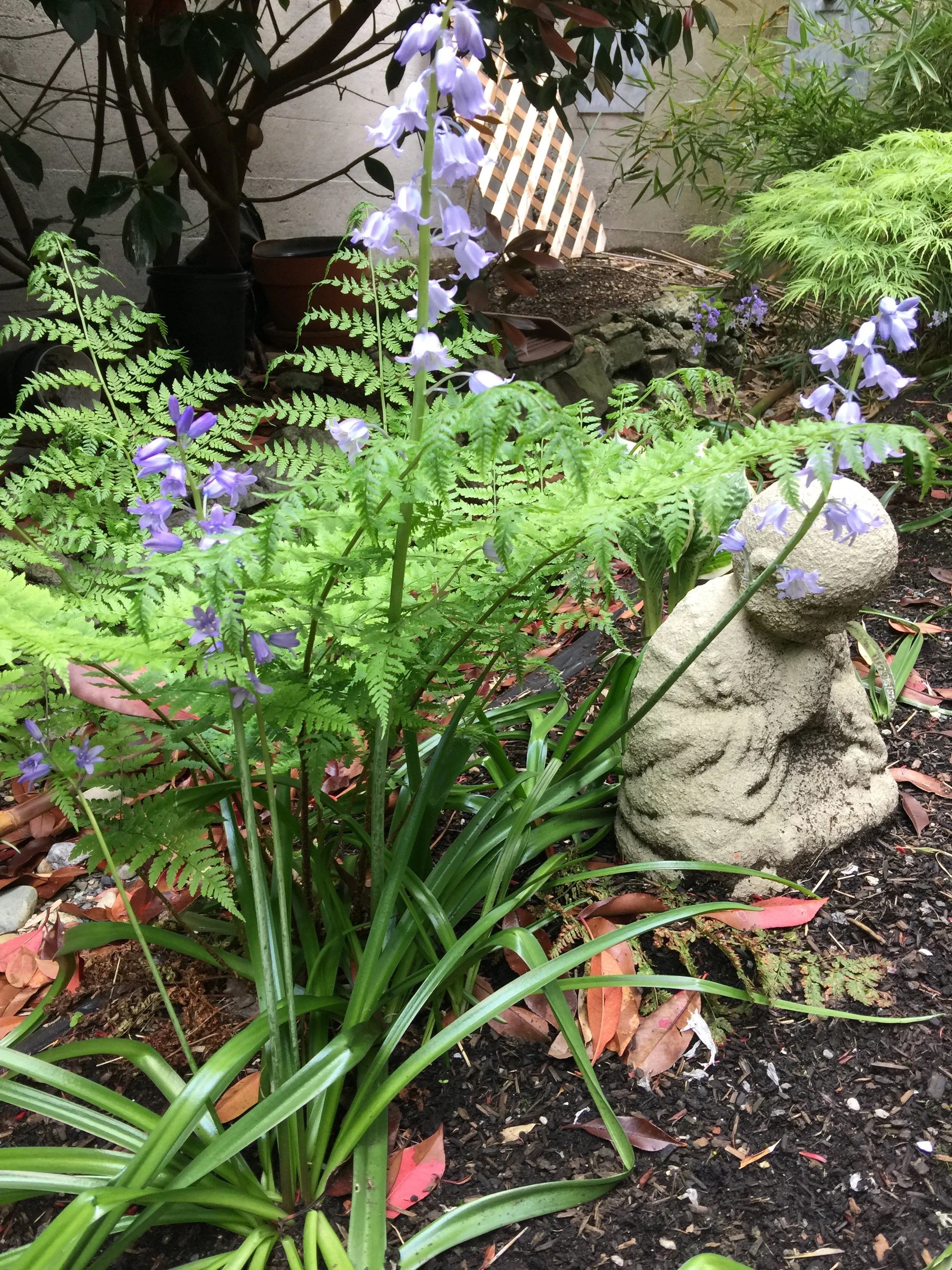 buddha in garden.jpg