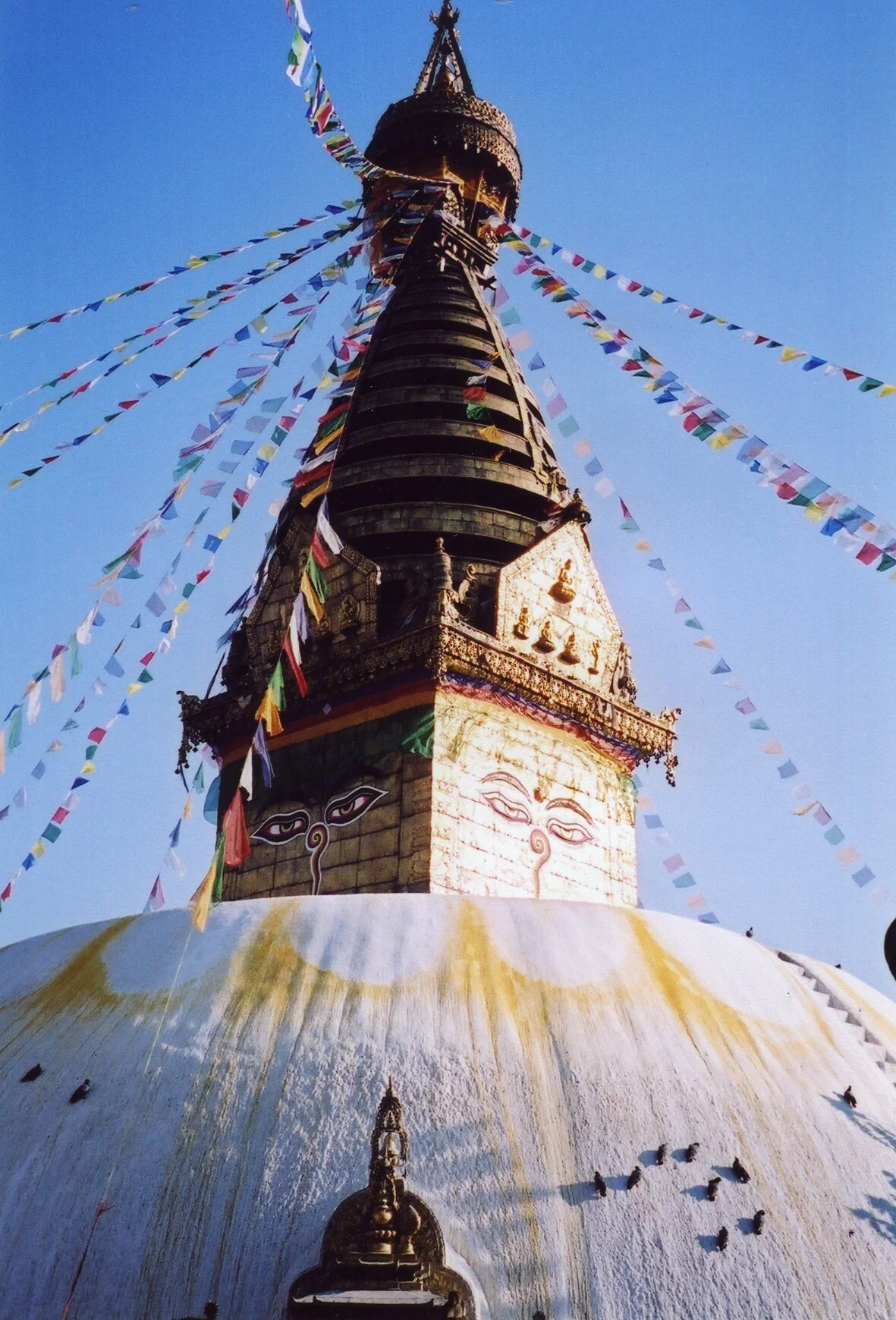 img034.jpg
