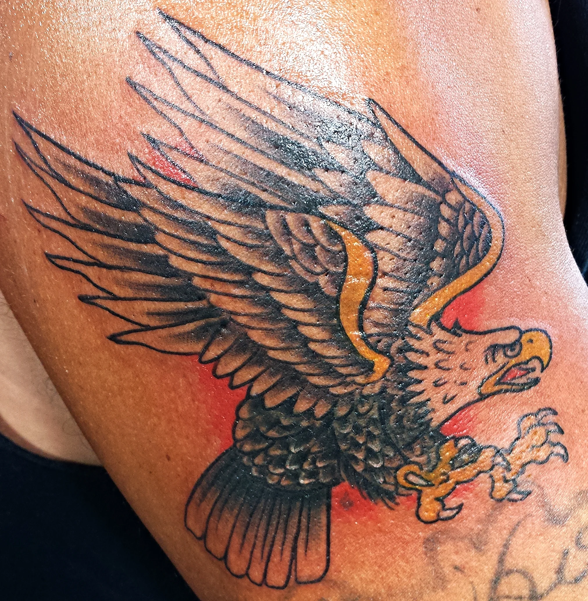 20150322_164411[1].jpg