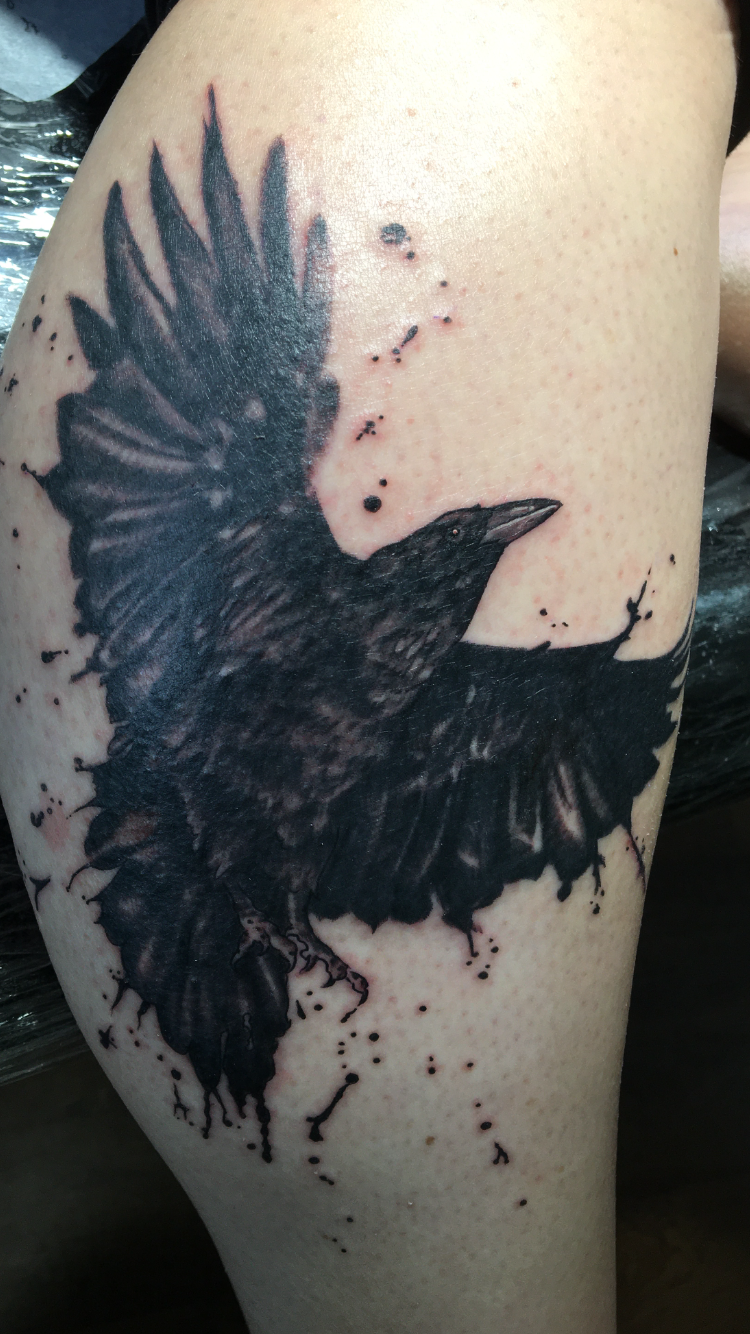 raven