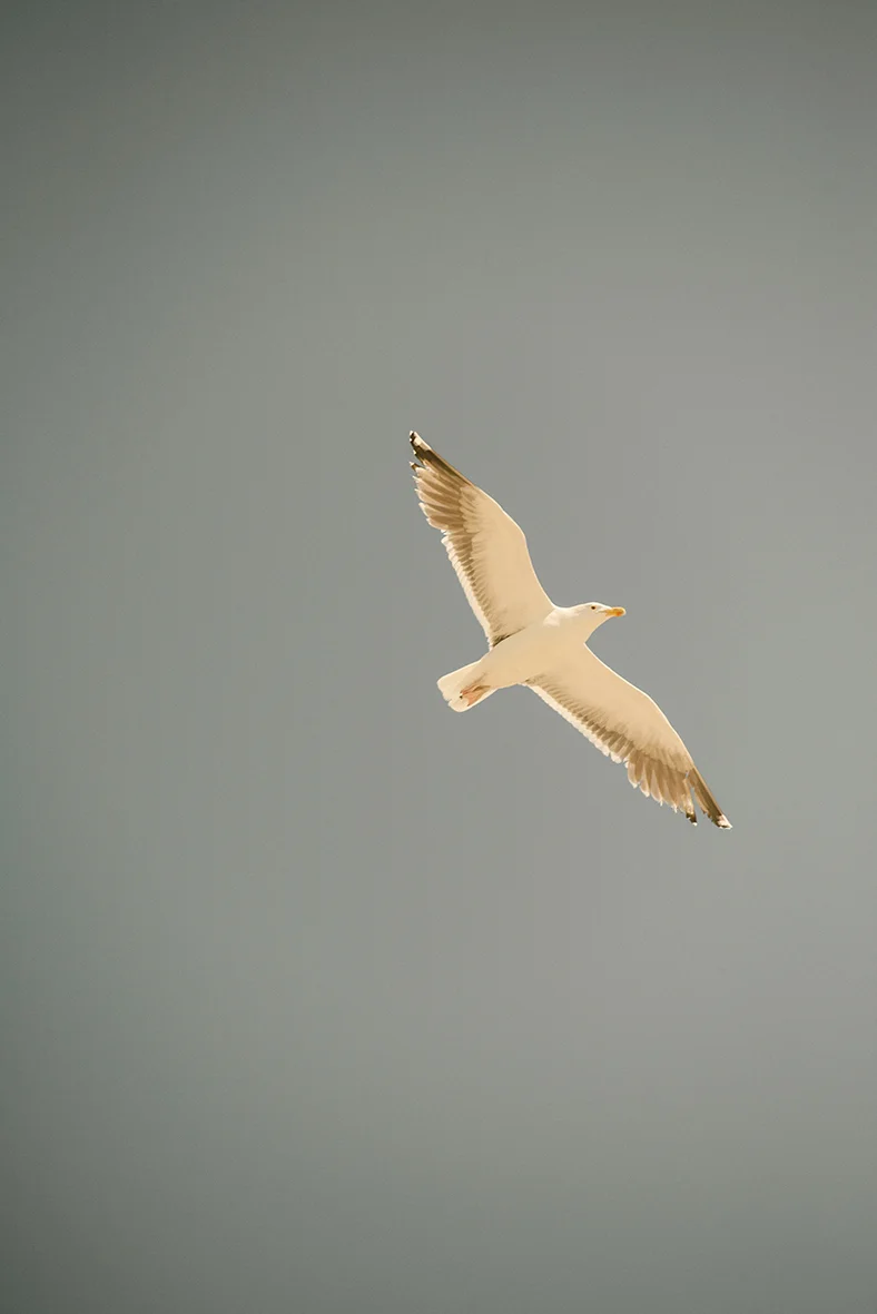 DSC_4184.jpg