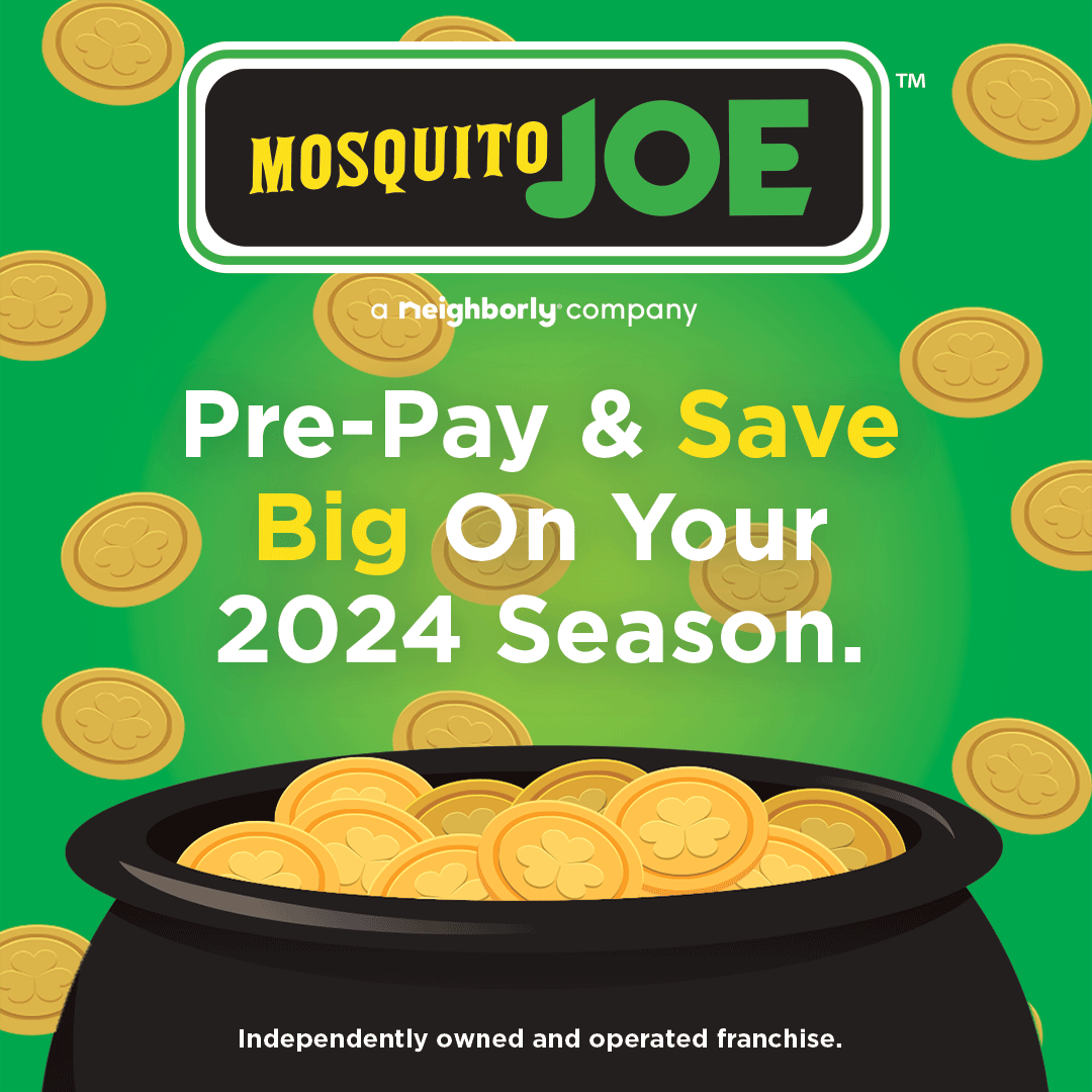 MOJ-Pre-PayQ1-Marketing-MOJ-Pre-PayQ1-Marketing-St.-Patrick's-Day_1123_Instagram.gif