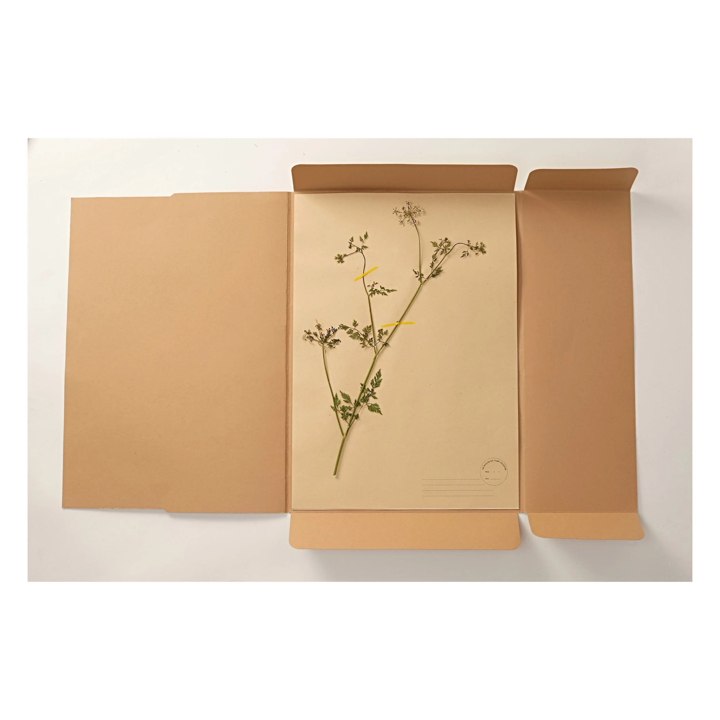 A3 Archival Folder