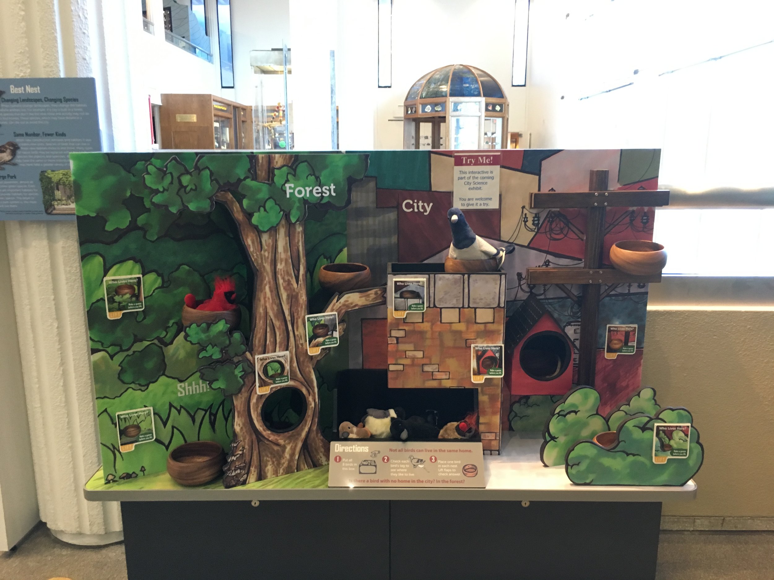  Best Nest Interactive- Final build  Printed and constructed based on design sketches and scanned flat illustration panels; goal: create visible distinction between two 'habitats' while maintaining unity within the interactive and exhibit design cont