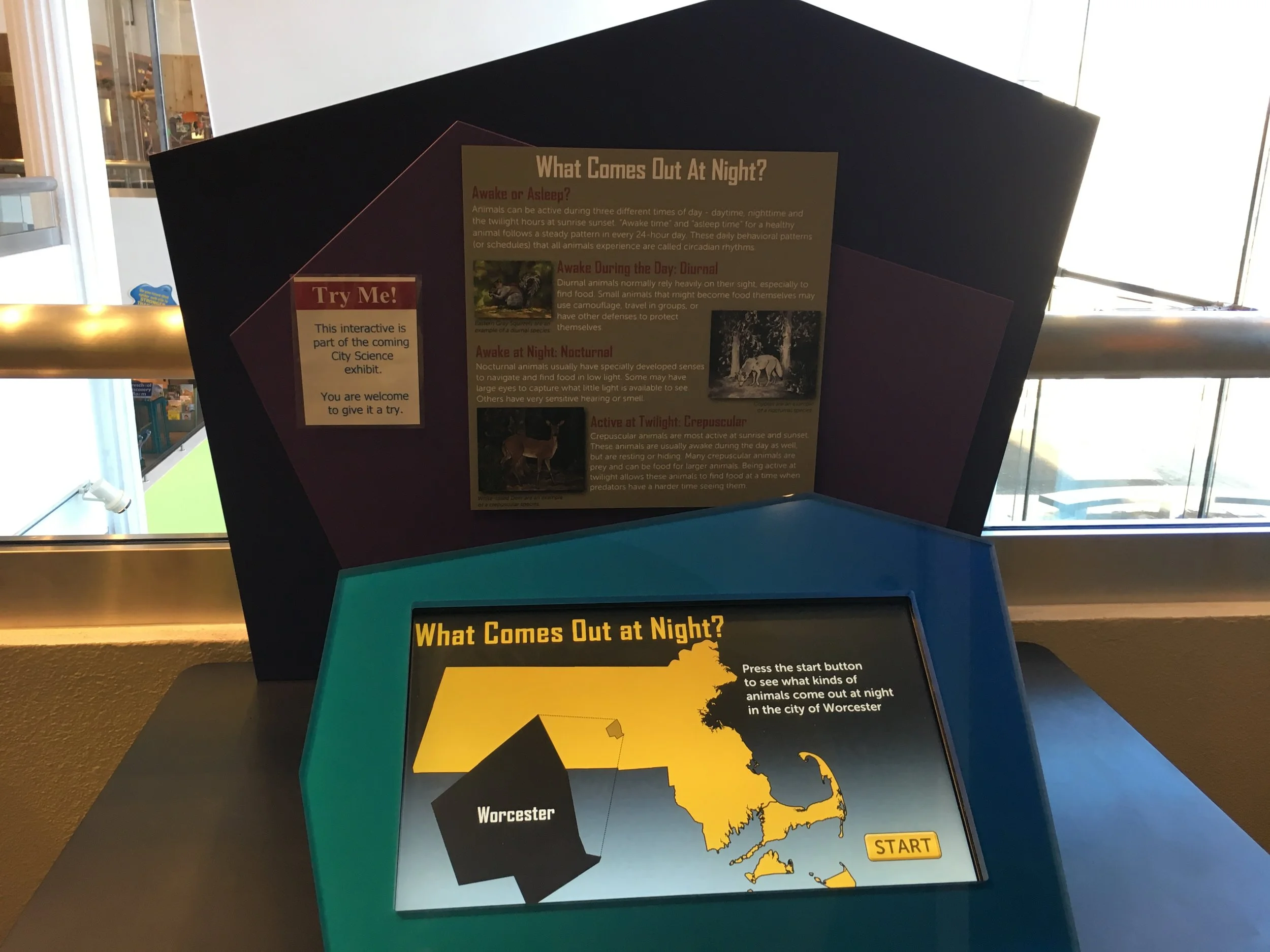  What Comes Out At Night? Interactive 