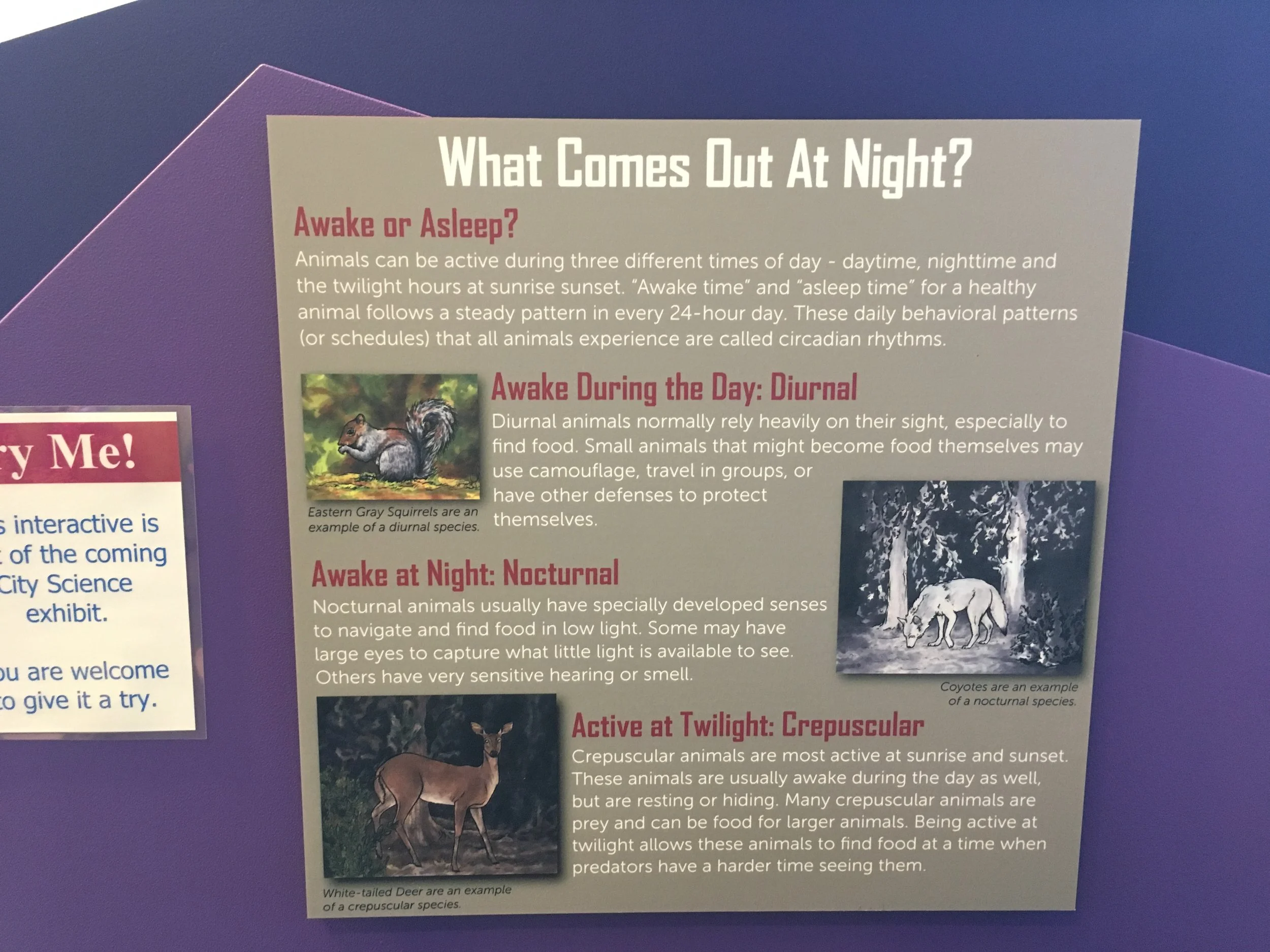  What Comes Out At Night? Sign 