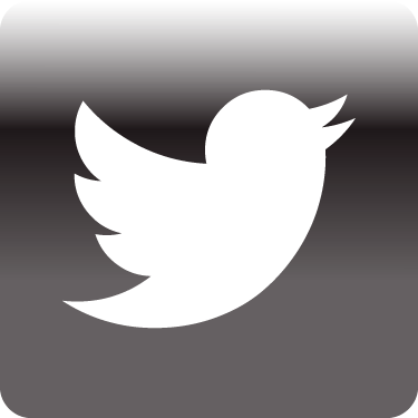 Podcast Twitter Icon.png