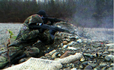 White Supremacist Extremists Leveraging Military Expertise