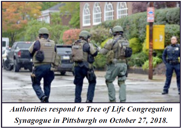 Online Platforms Provide Refuge for White Supremacist Extremists