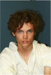 Domestic Extremists Embrace Foreign Terrorist Ideologies