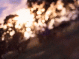 ezgif.com-gif-maker copy 4.gif