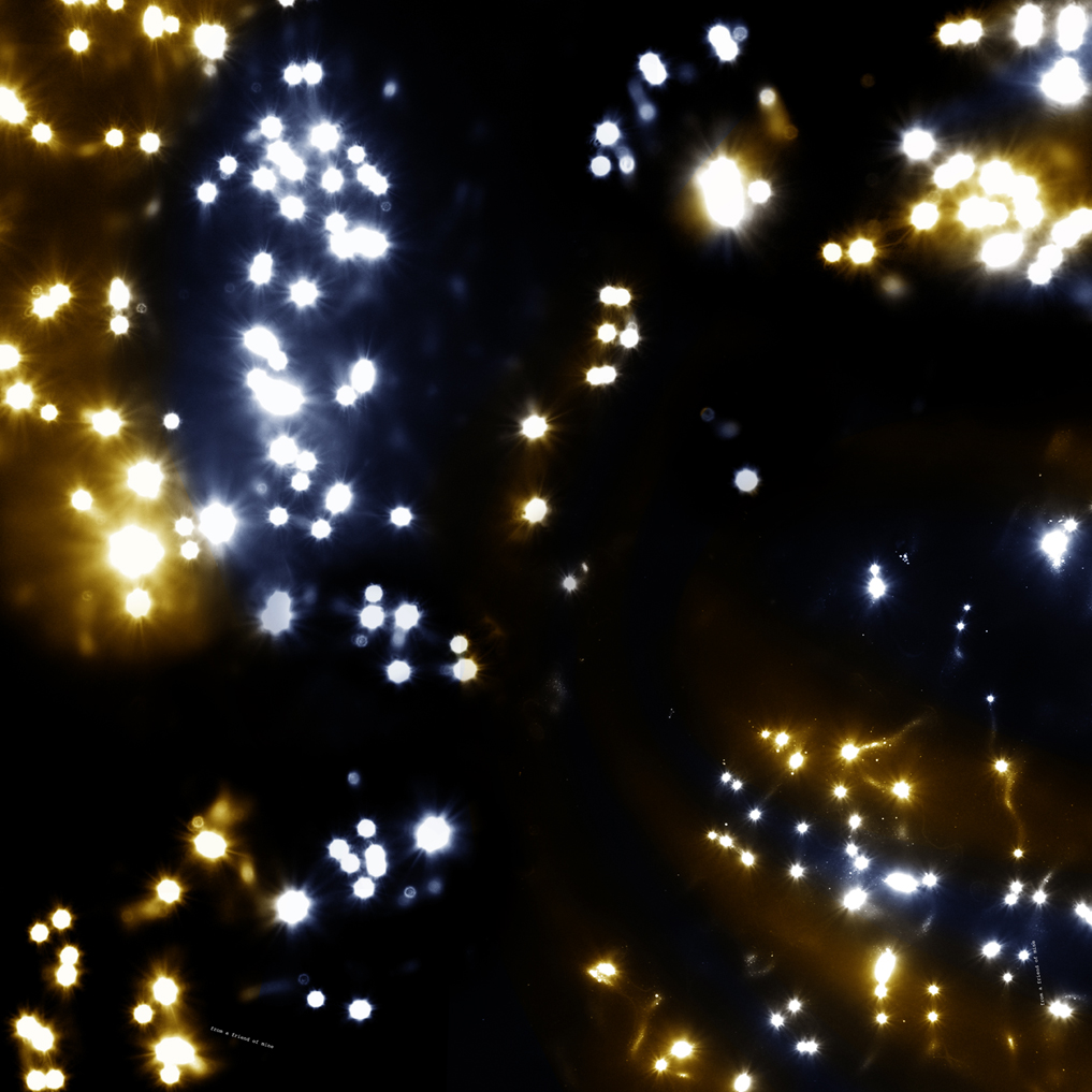 scarf print universe 2 colour 2 / from a friend of mine