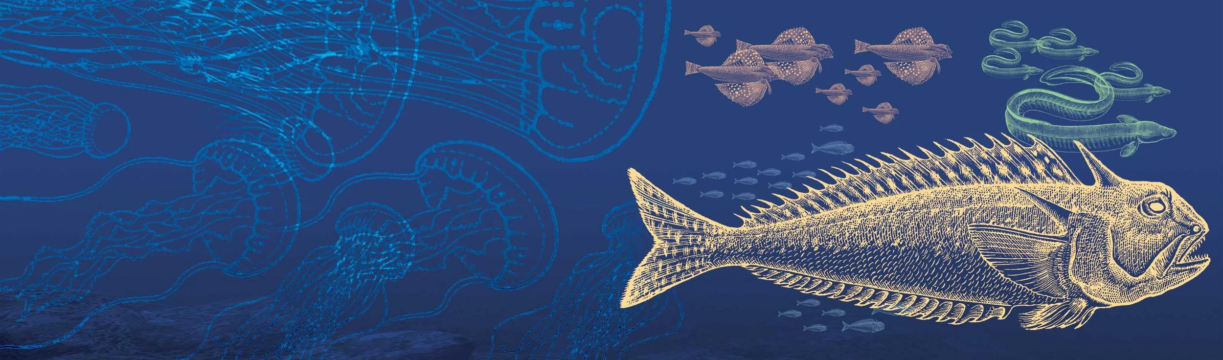 Swimming-Upstream.jpg