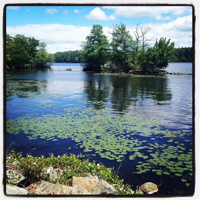 hiddenpond.jpg