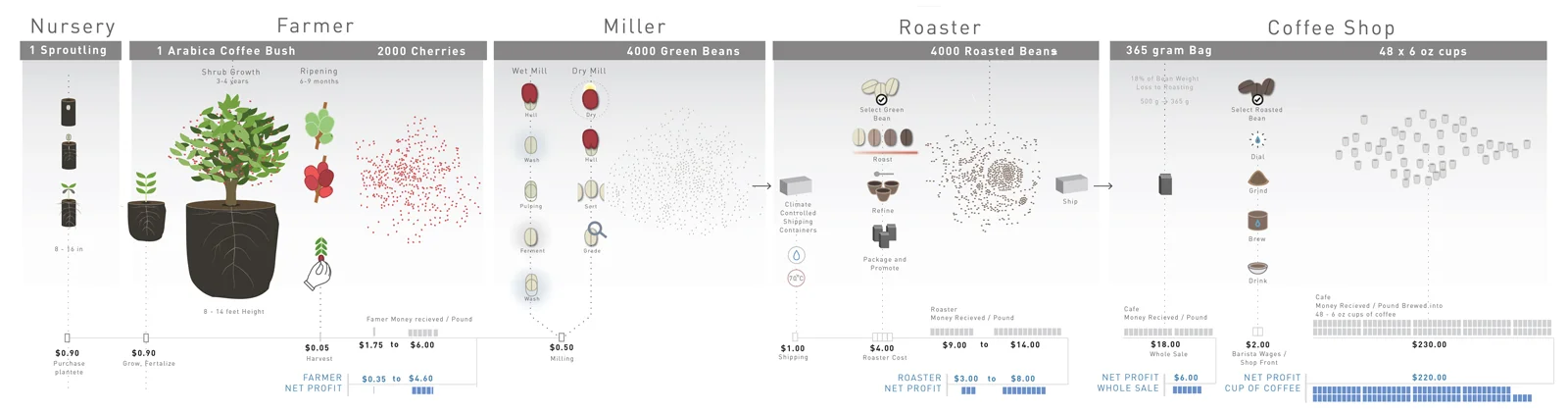 Expanding on the previous graphic we developed a more complex representation of the interworking system of growing and distributing a bag coffee. This graphic encases every aspect of growing, processing and brewing coffee in the modern world.