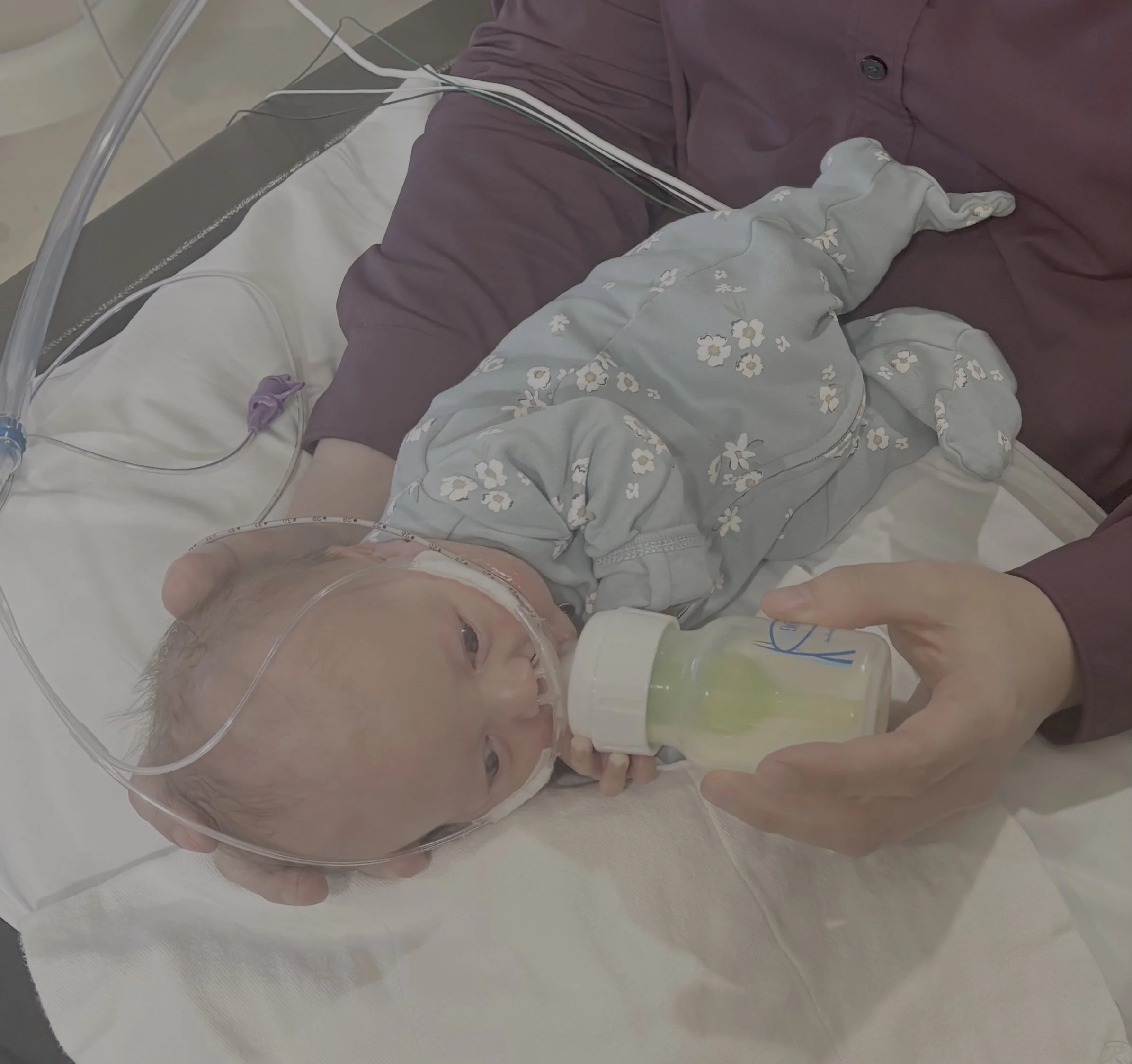 PRIMARY CHARLOTTE cropped.jpg