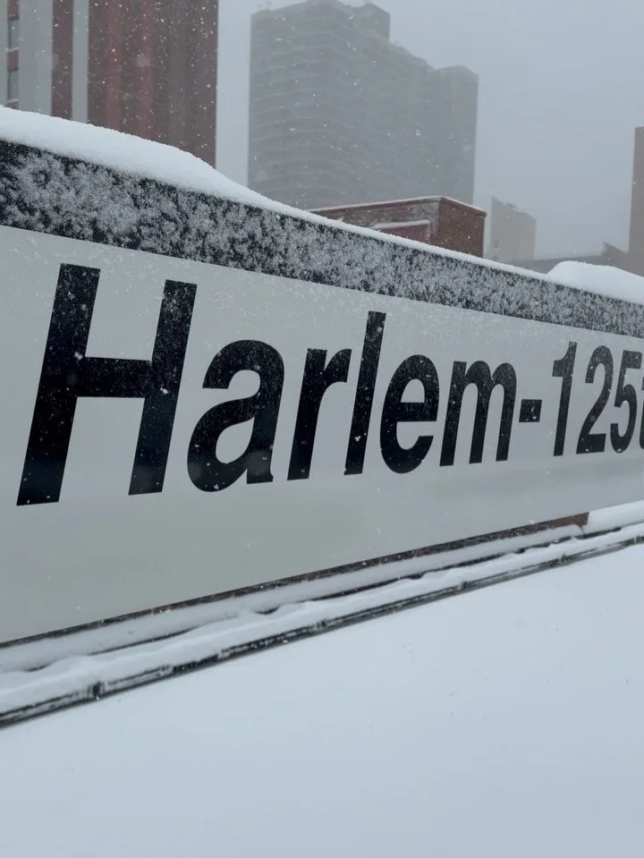 Scenes from an East 125 snow day. ❄️ 

Much love to our artists whose work was framed by the snow @kibromart @am_nyc @geraluz @menaceresa  @andre.trenier @oursols @soulsnyc @gabrieljehu @living.relic @by.lavache 🎨 

And big ups always to our Clean T