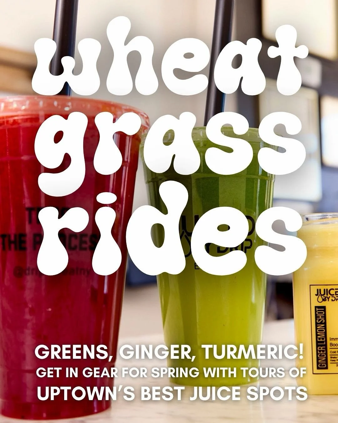 Greens, ginger, turmeric &amp; more! Each Saturday leading up to the Harlem Wellness Fest&nbsp;@harlemwellnessfest, we&rsquo;re hosting a series of walks and bike rides to some of the Harlem&rsquo;s most-loved juice bars.

This weekend&rsquo;s Wheatg