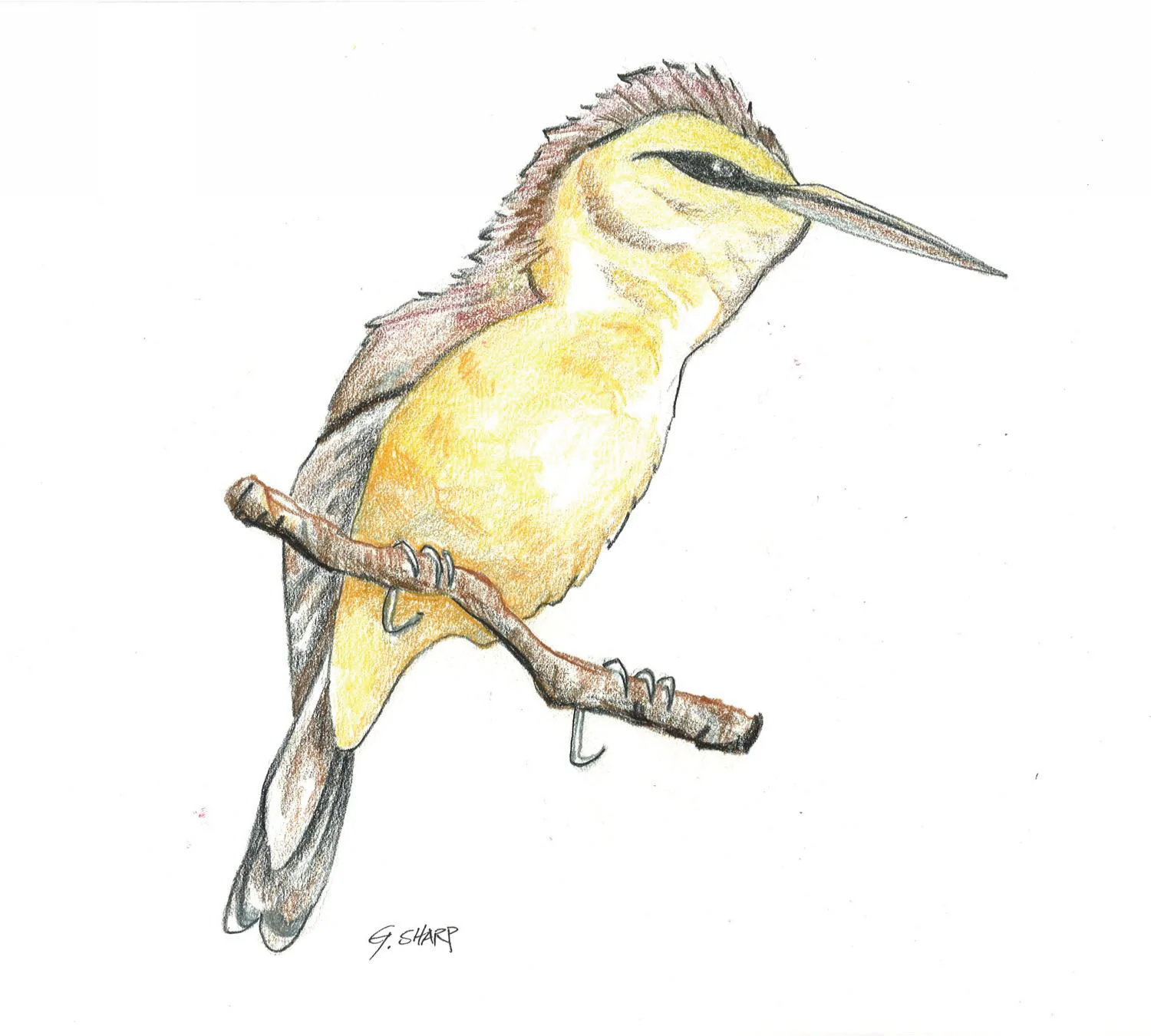 Saipan Sketches_Gavin Sharp_2013_Page_10.jpg