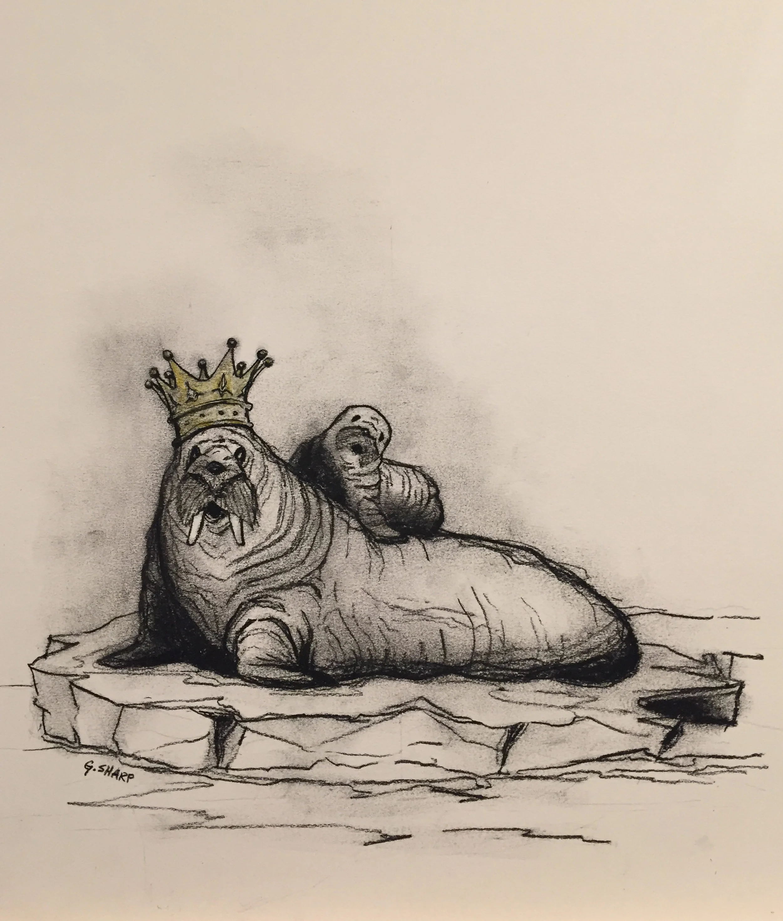 Nursery Animal Sketches_GSharp_170429_WALRUS.jpg