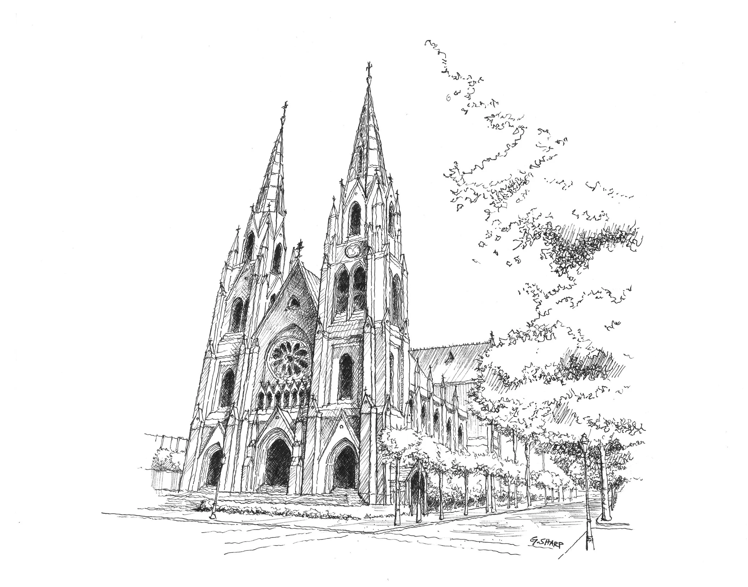 Savannah_StJohnBaptist_GavinSharp_2017.jpg
