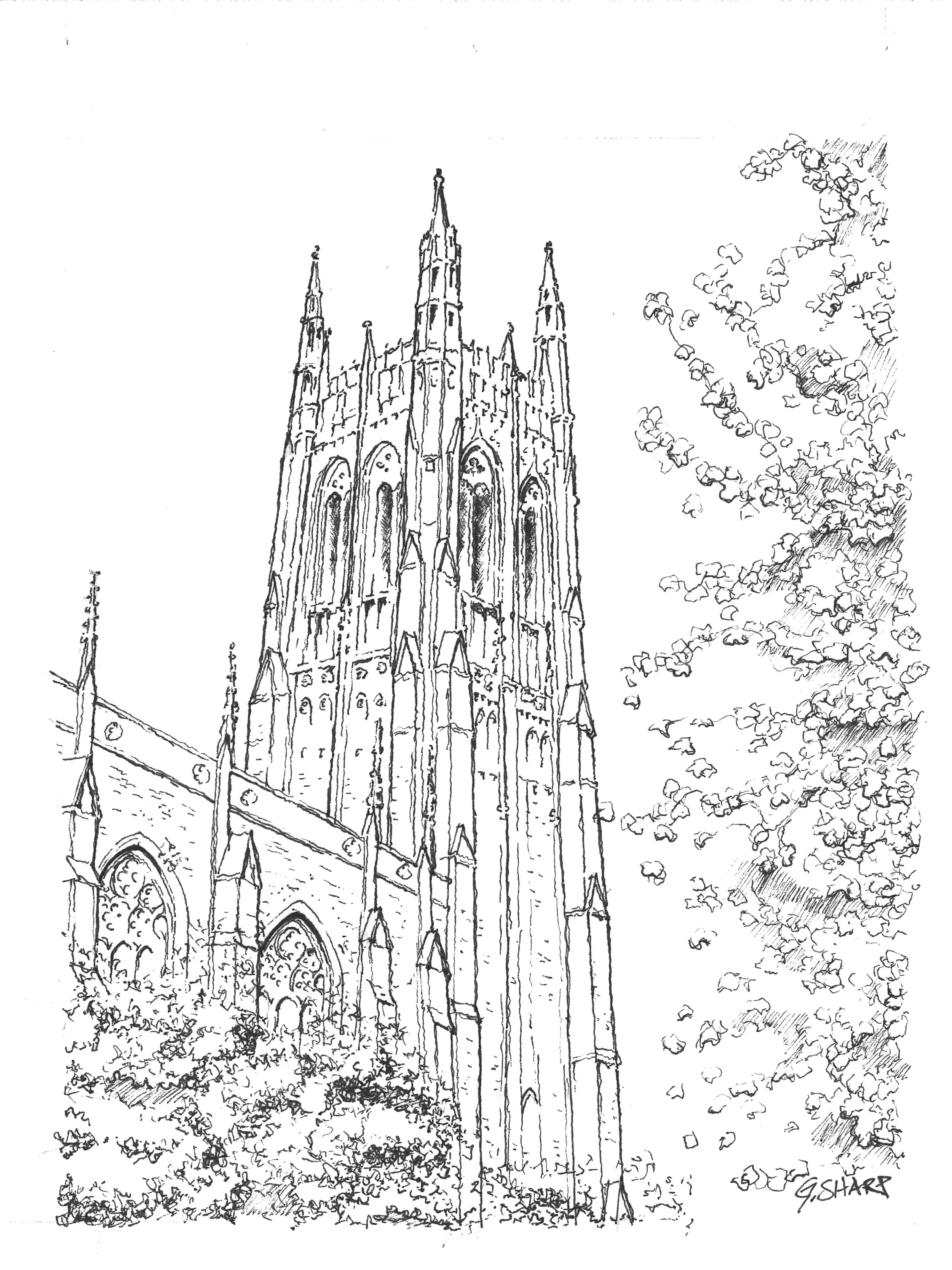 Ink Renderings