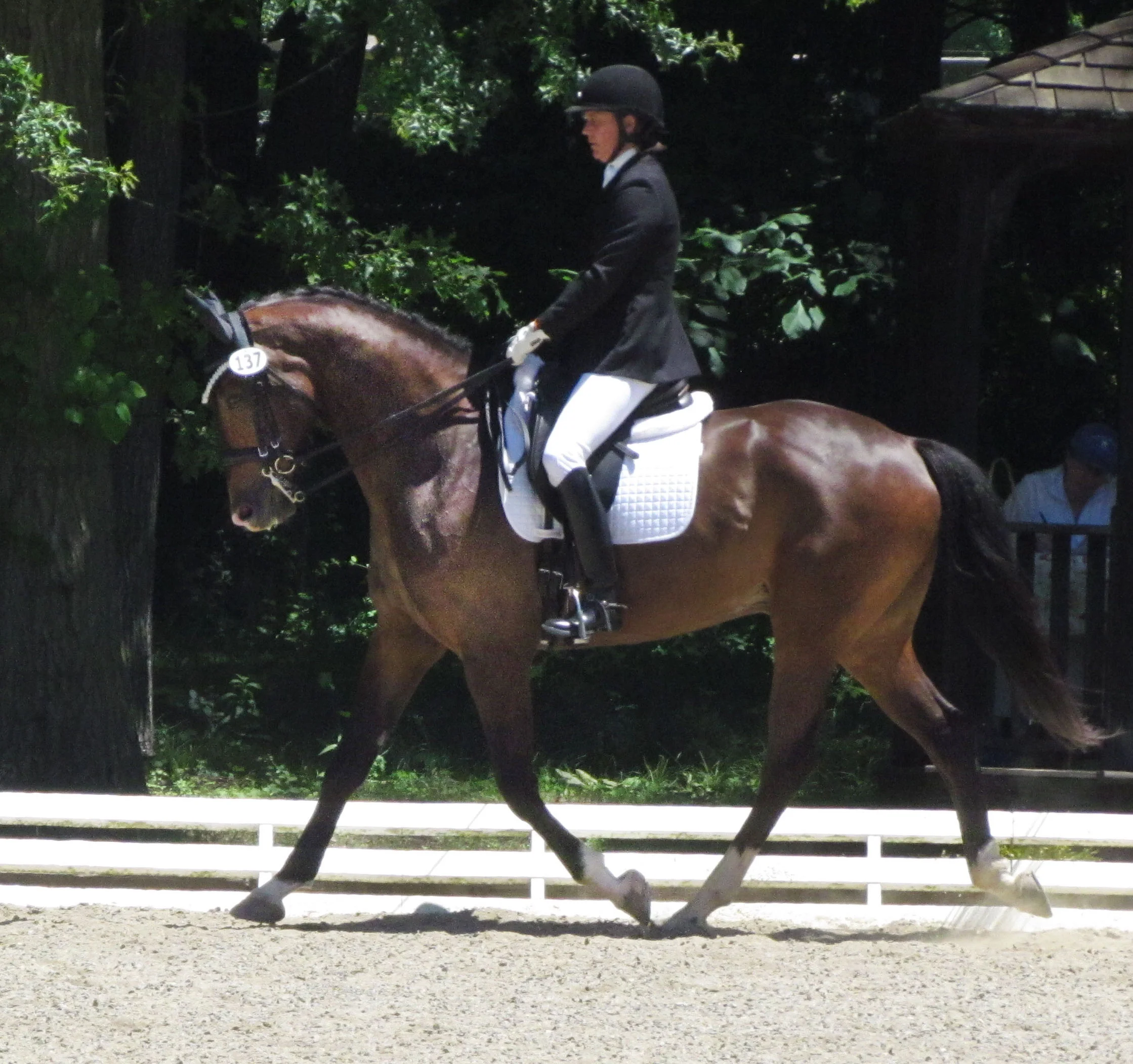 Meredith Whaley Riding RTF Lincoln