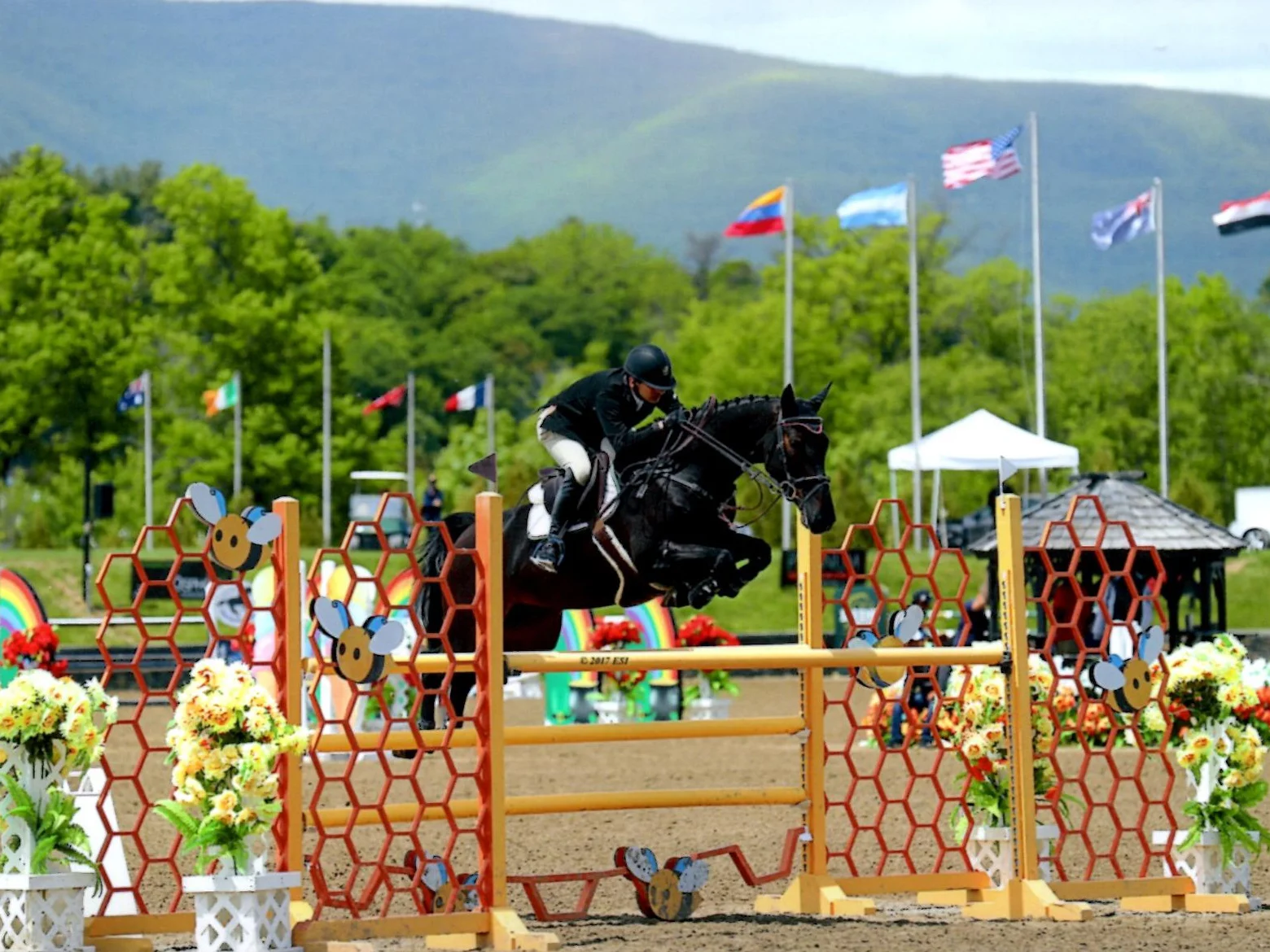 Martin Marcelli riding at HITS, Saugerties