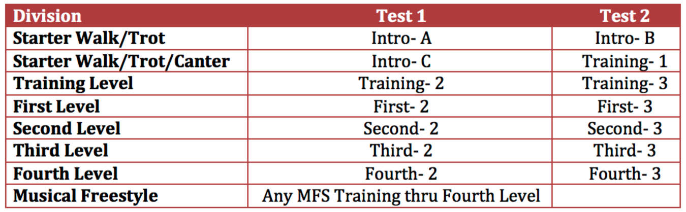 Divisions & Tests.png