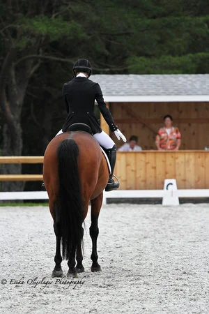 Dressage at Red Tail Farm October I &amp; II
