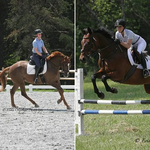 CANCELED: Dressage Schooling and CT Show