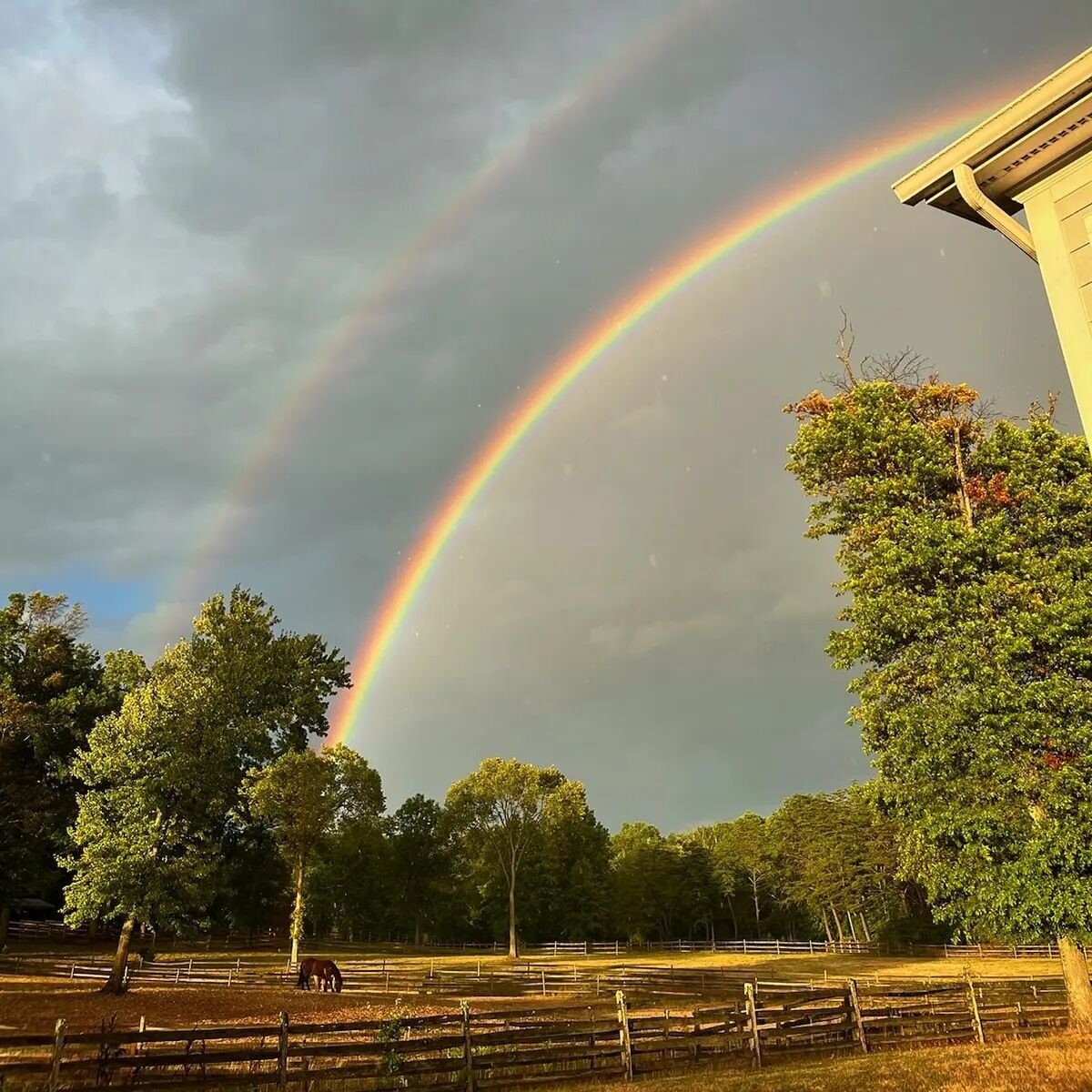 After a few long months.... it FINALLY rained at Red Tail! 🌈🌈 #potofgold