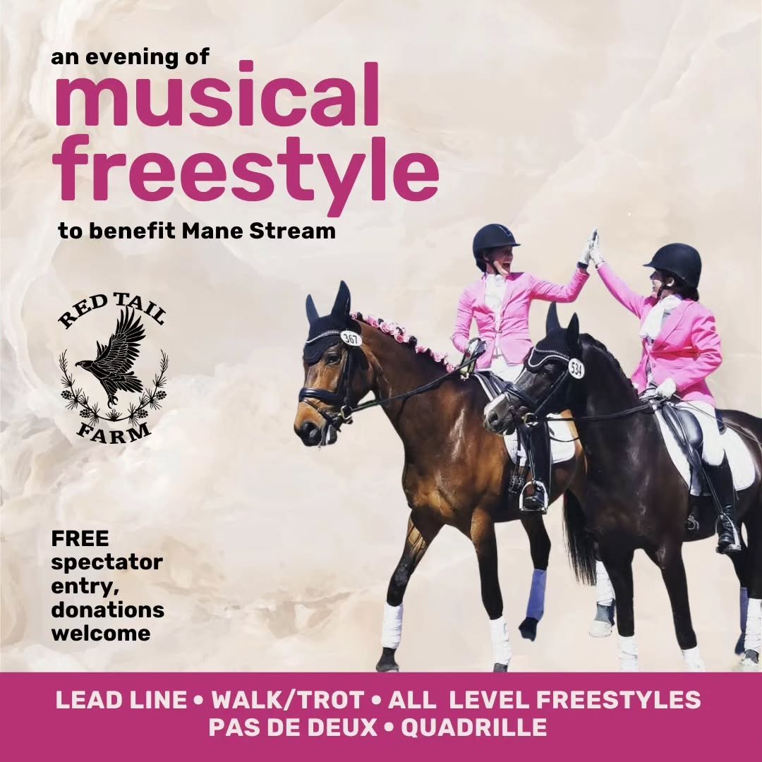 Come dance (or spectate!) for a cause at RTF on Sept. 8!! All donations go to @manestreamnj For more  info visit our Facebook page.