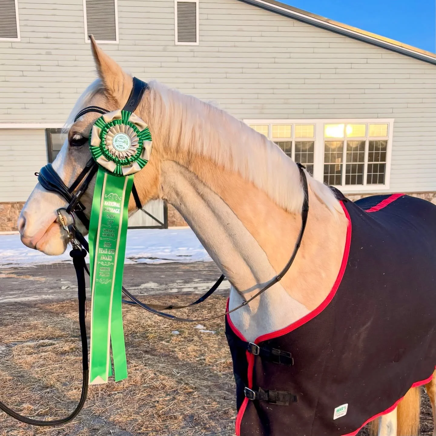 Congratulations to our National Dressage Pony Cup 2025 year-end award winners!

🏆 In their debut competition season, Jessica &amp; Sonney G (Dating&rsquo;s White Chocolate G) took home 6th Place in the Training Level AA Small Horse division.

🏆 Mor