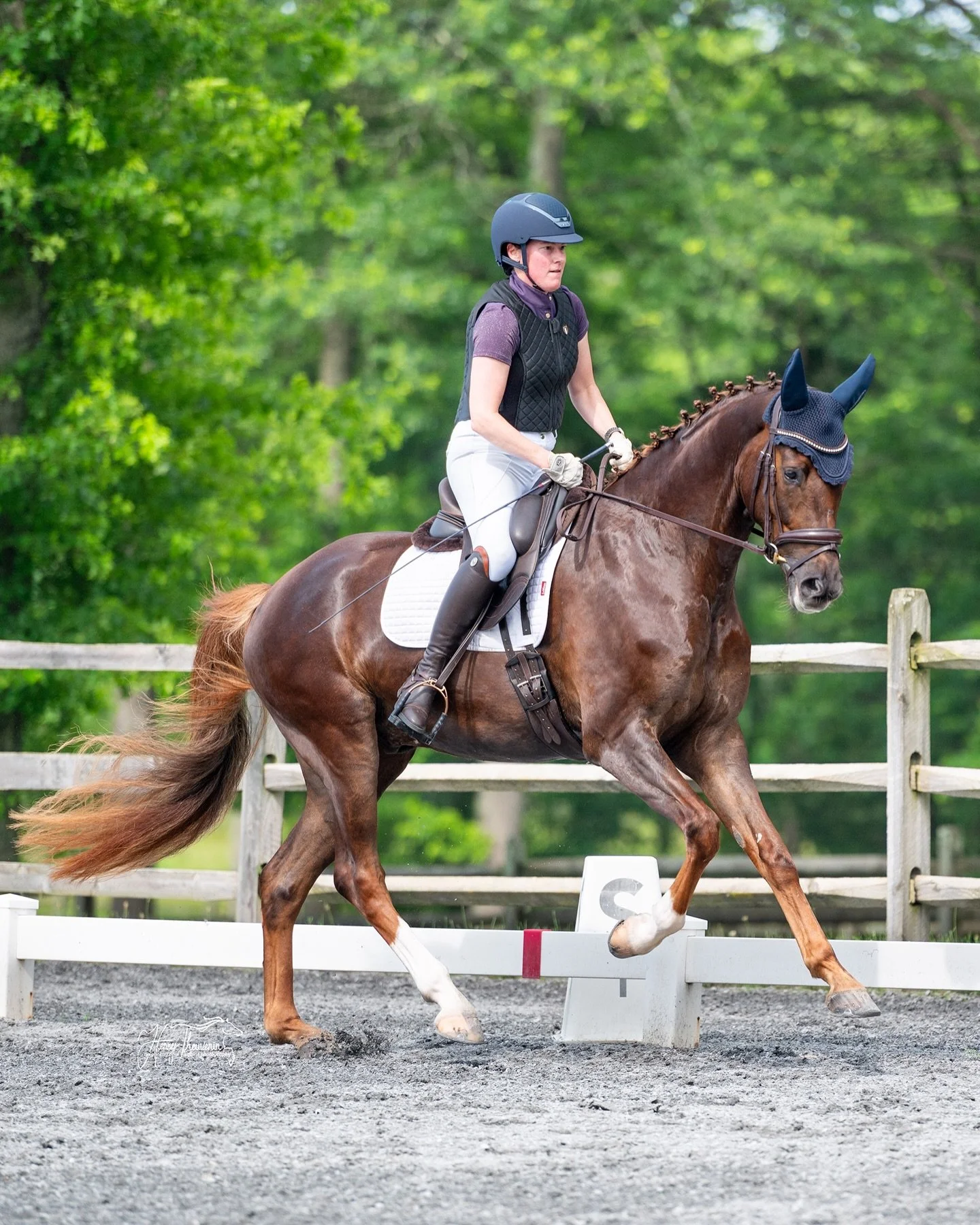 🗓️ Upcoming event: RTF Schooling &amp; Ring Familiarization Day (May 16)

Gearing up for the 2026 show season? In lieu of our annual schooling show, Red Tail Farm will be hosting a dedicated schooling &amp; ring familiarization day on May 16. Riders