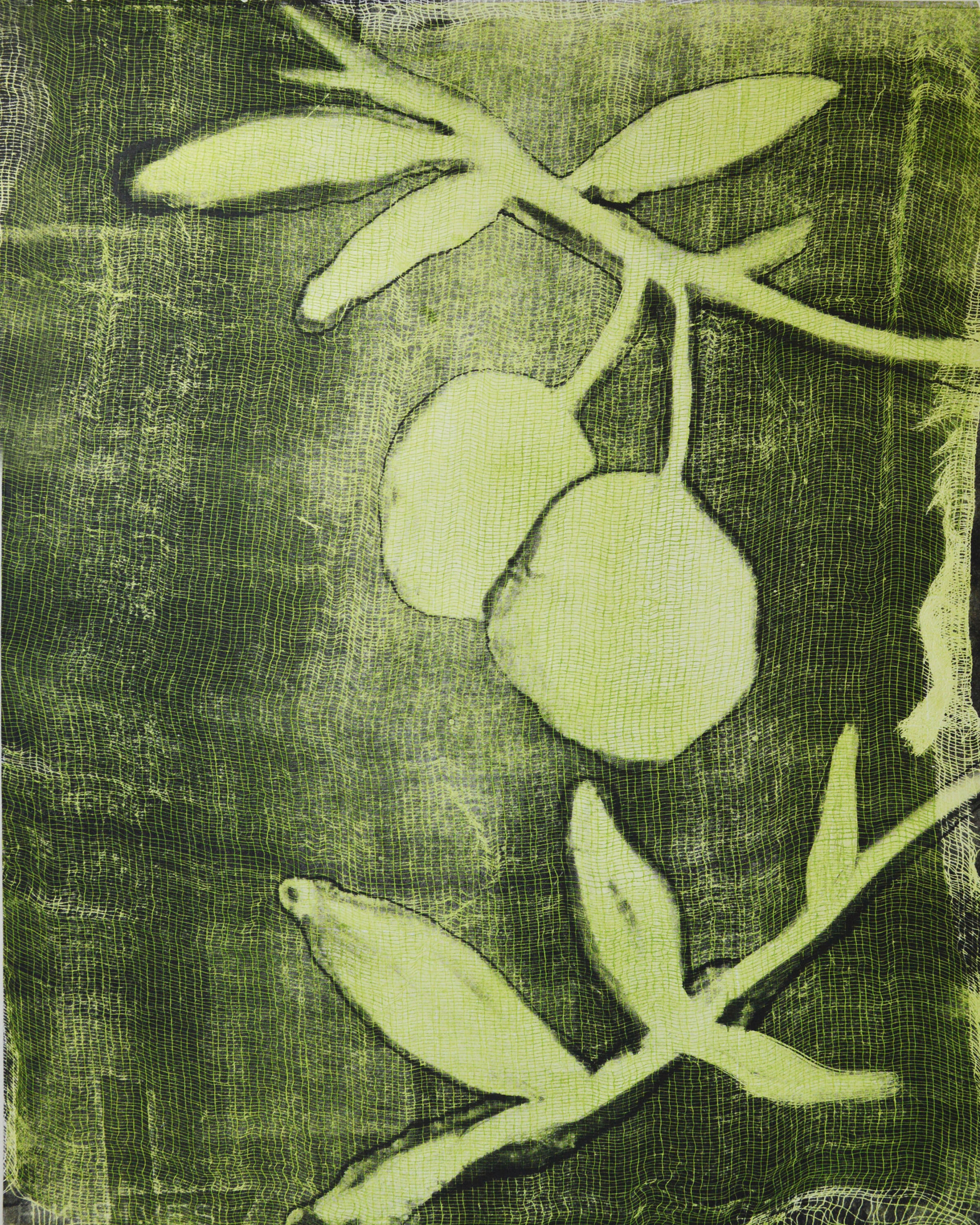   Ackee (In Green),  monotype on paper, 16” x 20”, 2020 