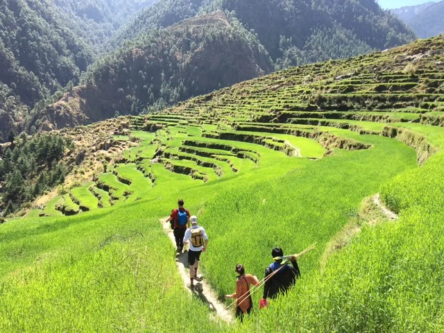 Walking through the fields of Oda