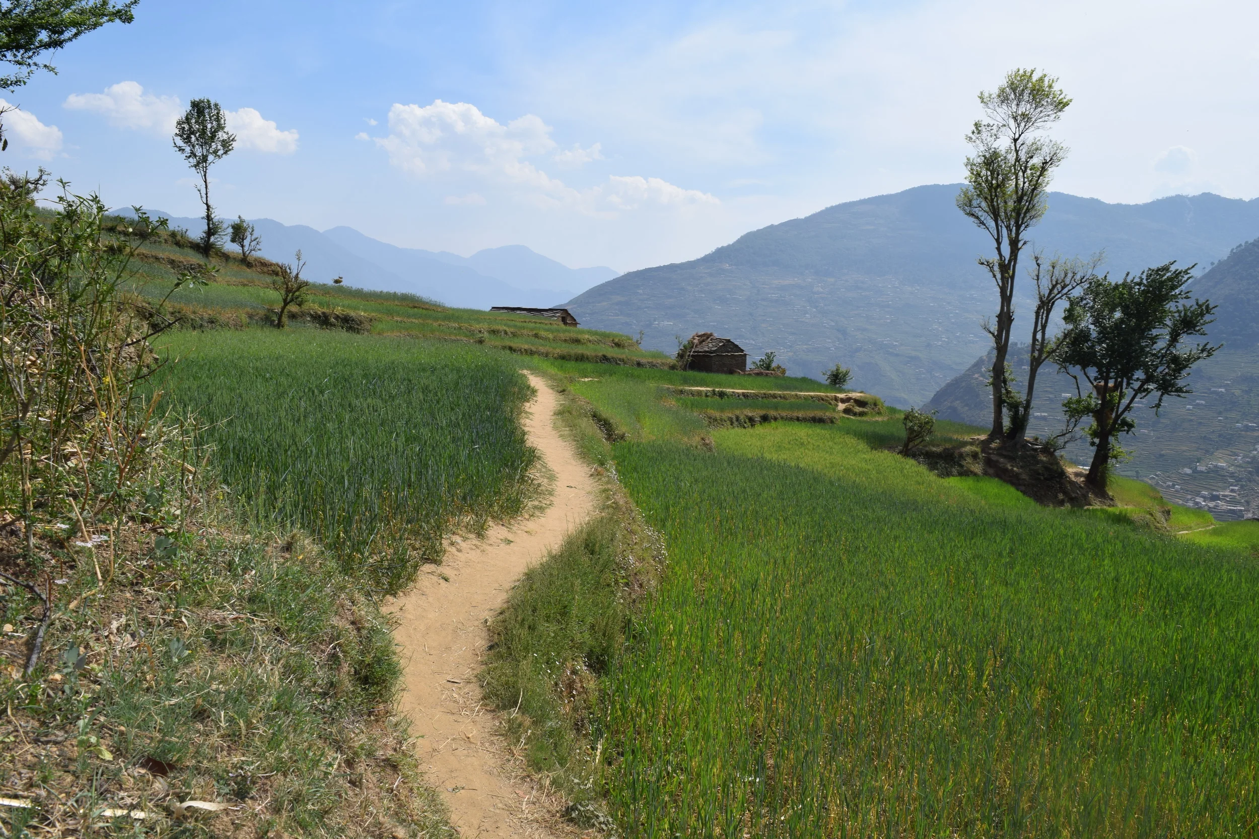 A portion of the path to Kheen.